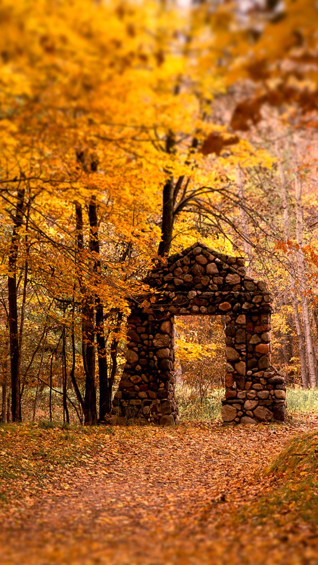 Brick Door Autumn Maple Trees Forest Android Wallpaper free