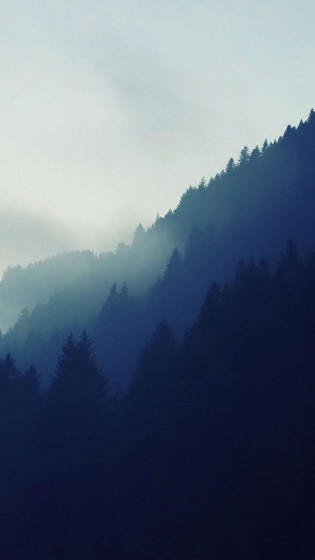 Misty Forest Tree Line Android Wallpaper free download