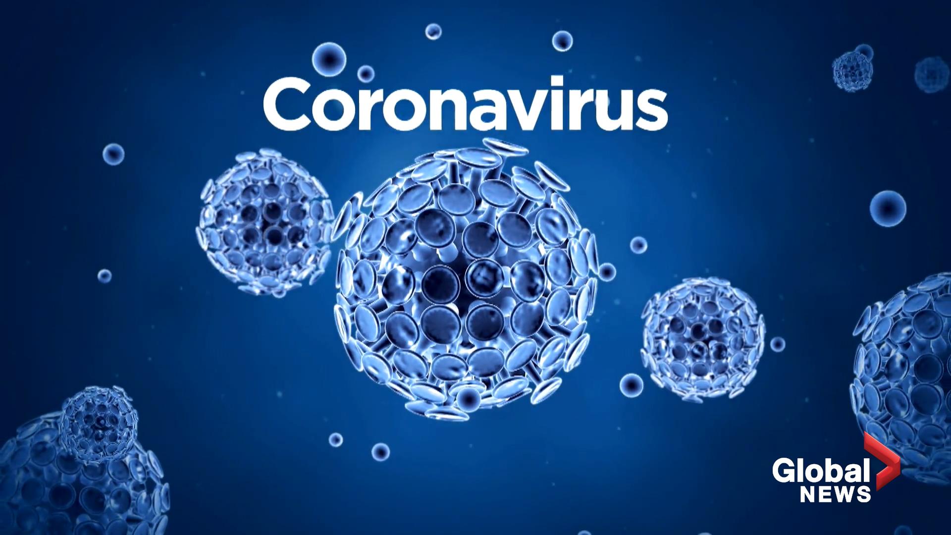 A background on the coronavirus and its symptoms
