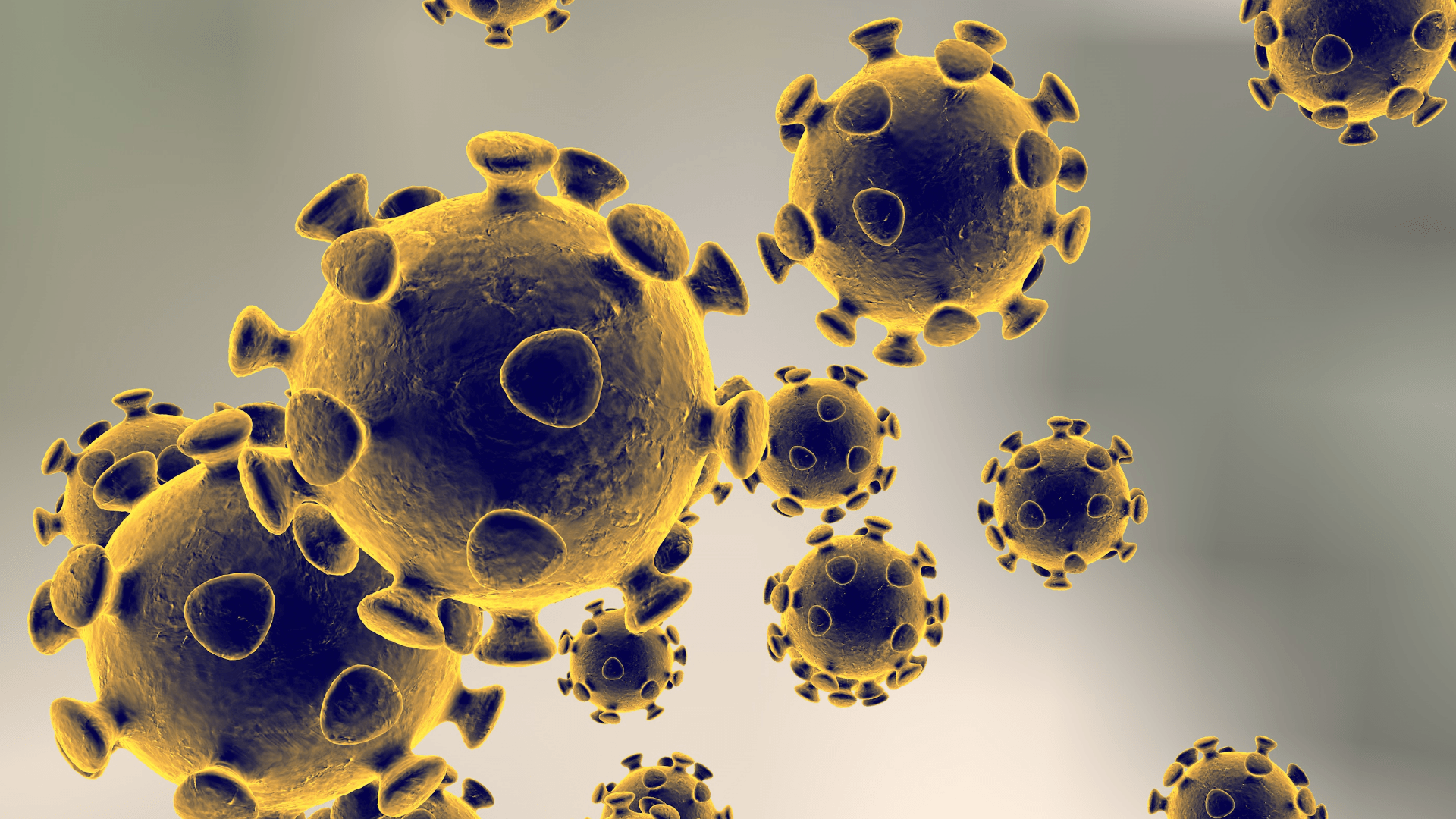 Baylor student being tested for possible case of Coronavirus. Virus Wallpaper