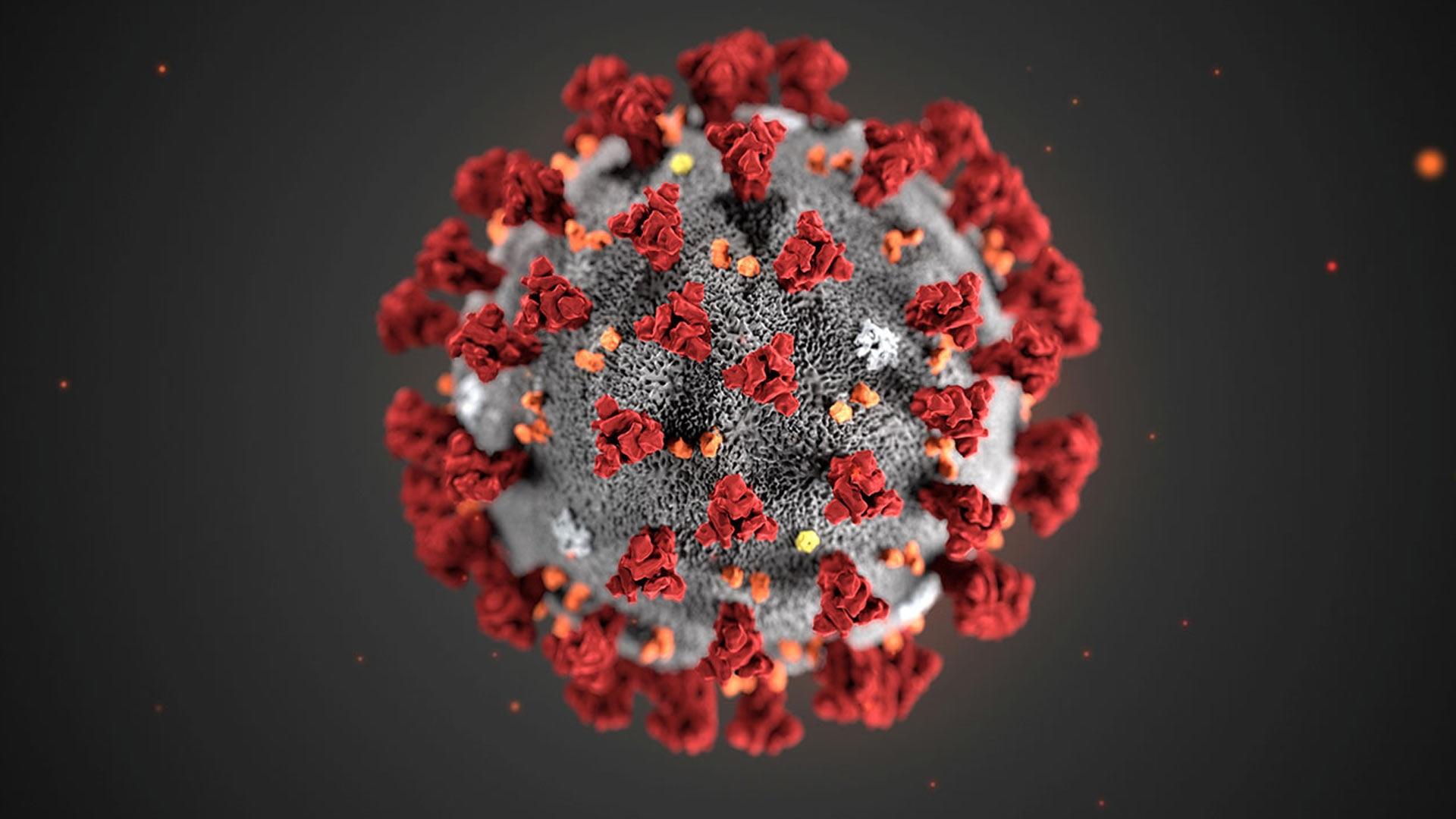 Expert answers on coronavirus’ spread, masks Virus Wallpaper