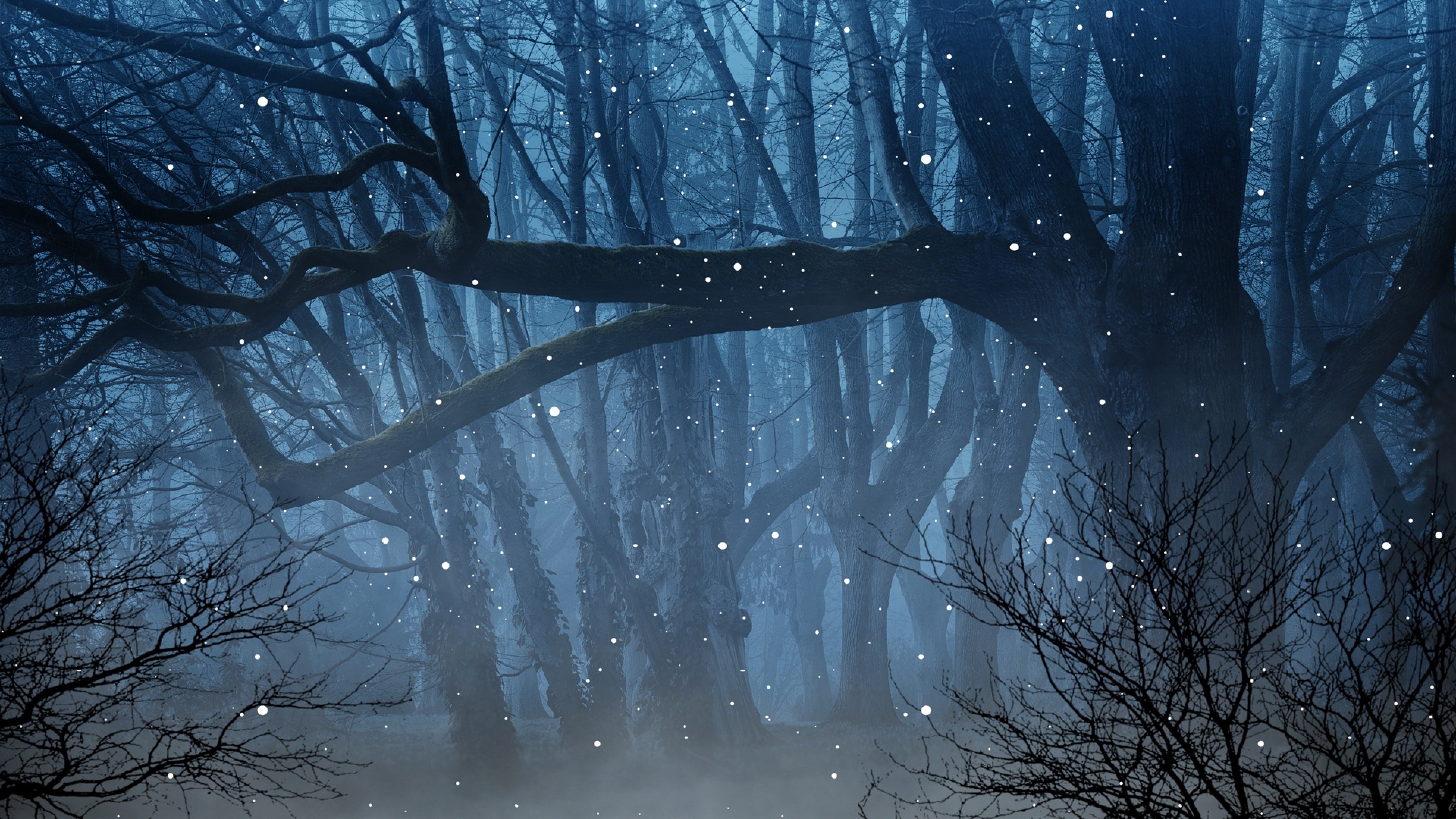 Fireflies over a tree HD Wallpaper 4K Ultra HD