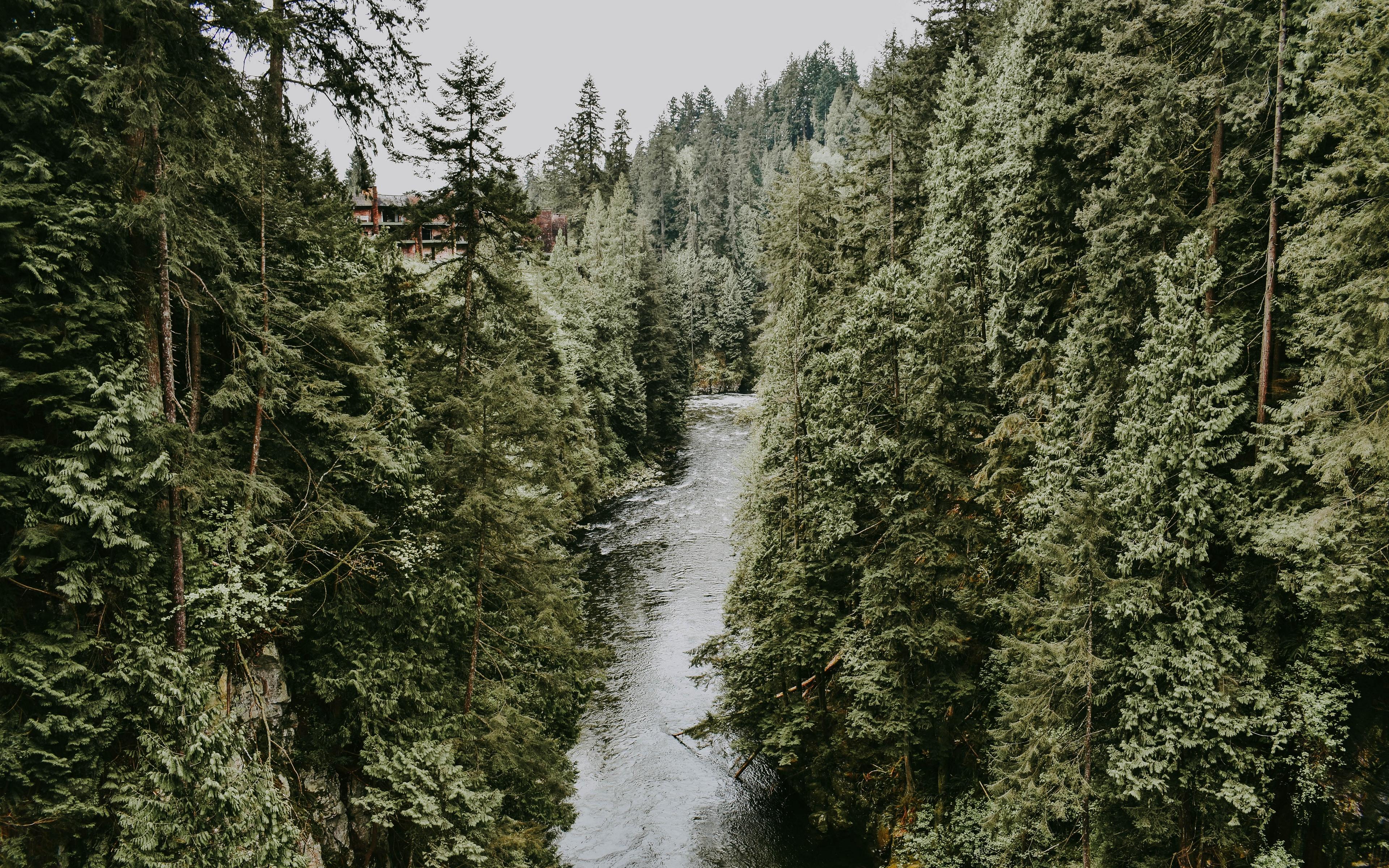 Download wallpapers 3840x2400 river, stream, trees 4k ultra