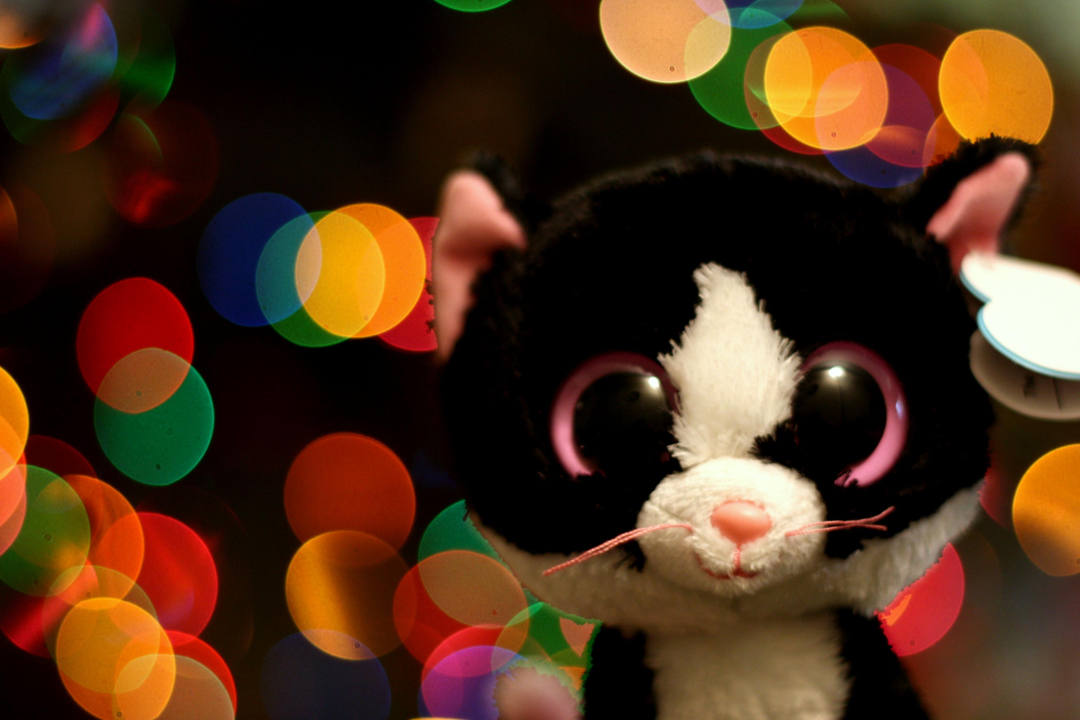 Beanie Boos HD Wallpaper and Background Image