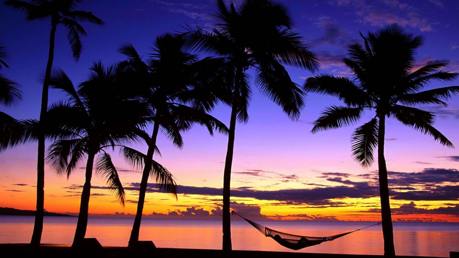 Tropical Beach Sunset Hammock Wallpaper HD / Desktop