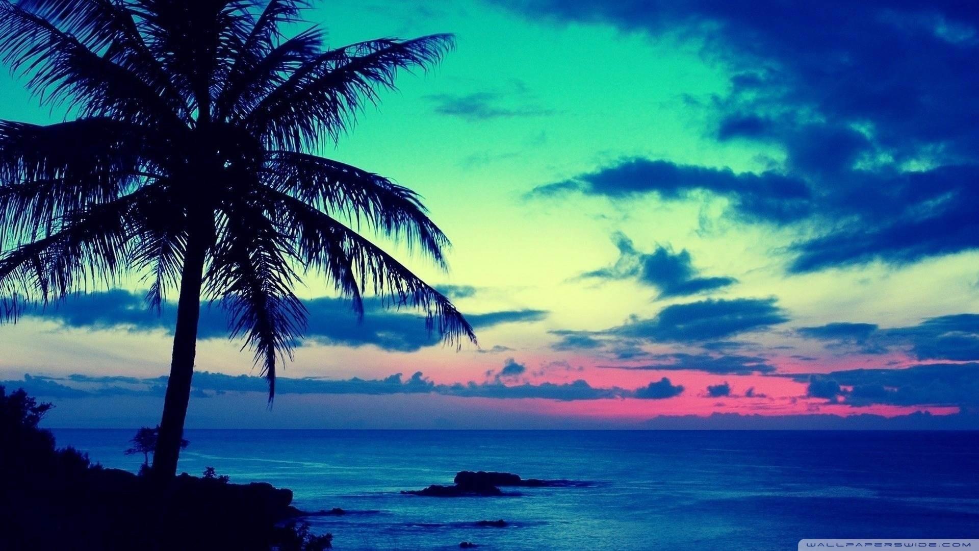 Tropical Island Sunset Wallpaper