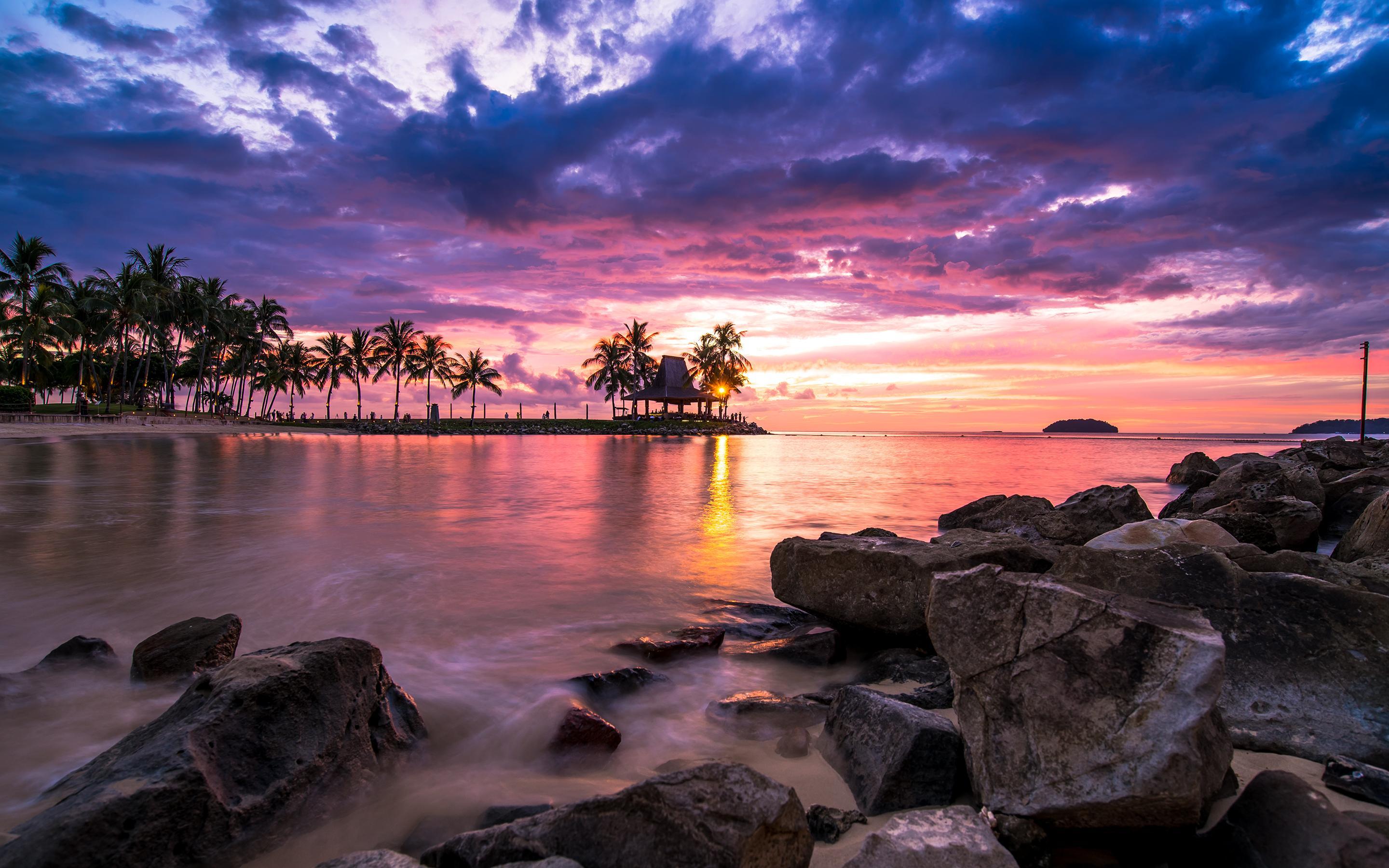 Tropical Beach Sunset HD Wallpaper. Background Image