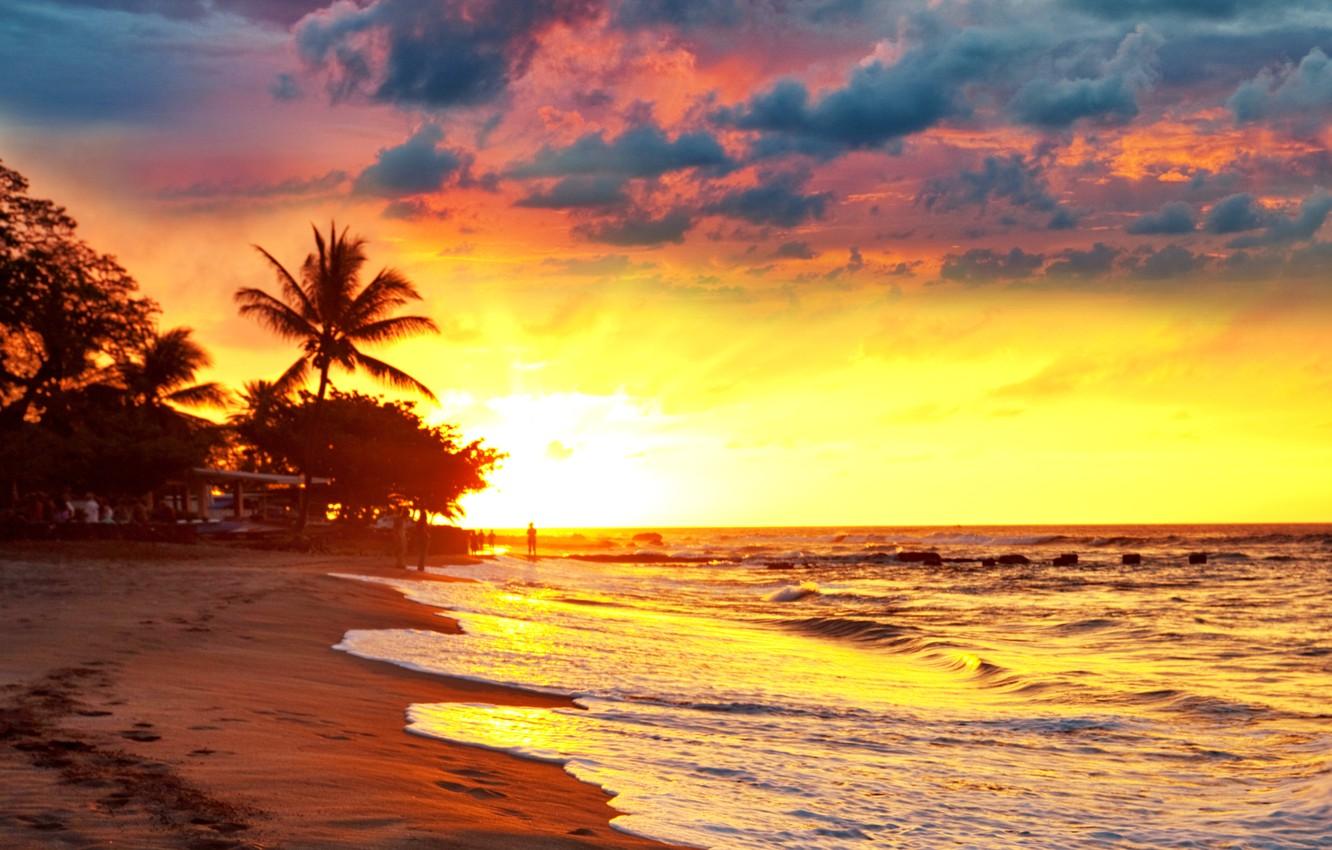 Wallpaper sand, sea, beach, sunset, tropics, palm trees, shore
