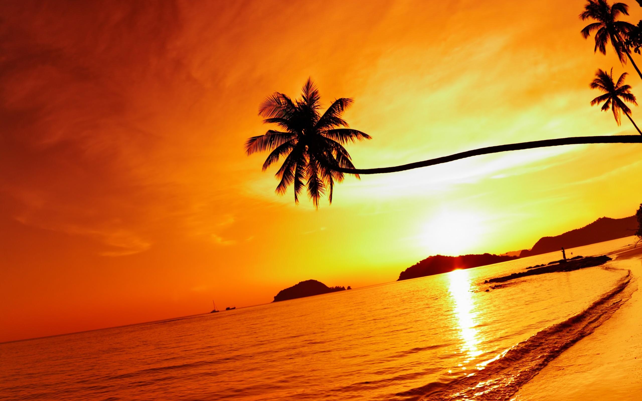 Tropical Beach Resorts Sunset wallpaper