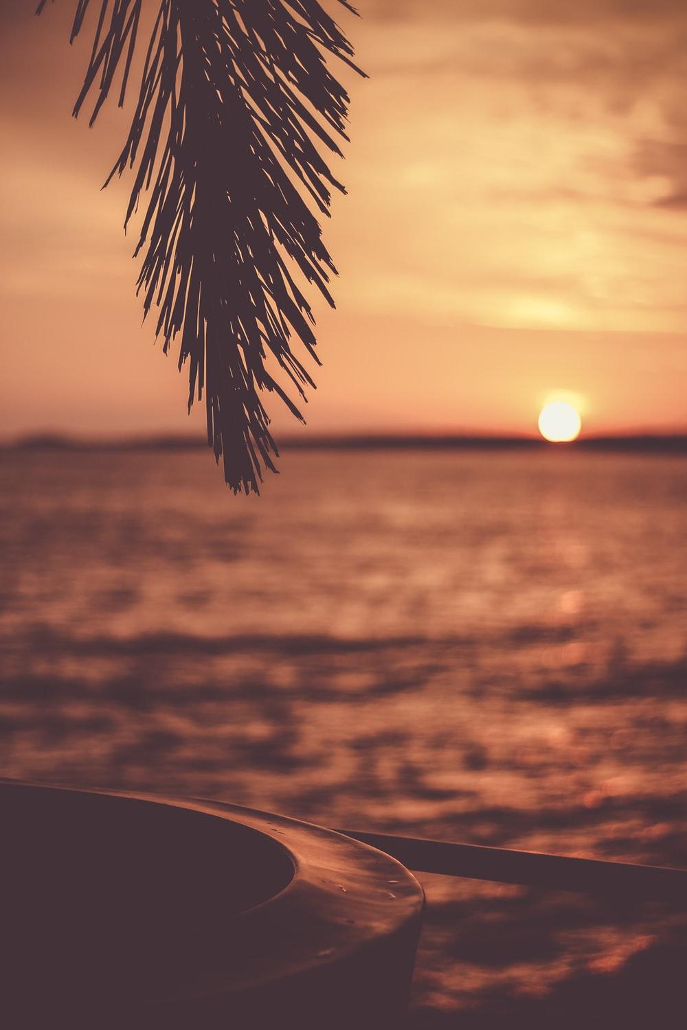 Stunning Tropical Sunset Picture [HD]. Download Free Image