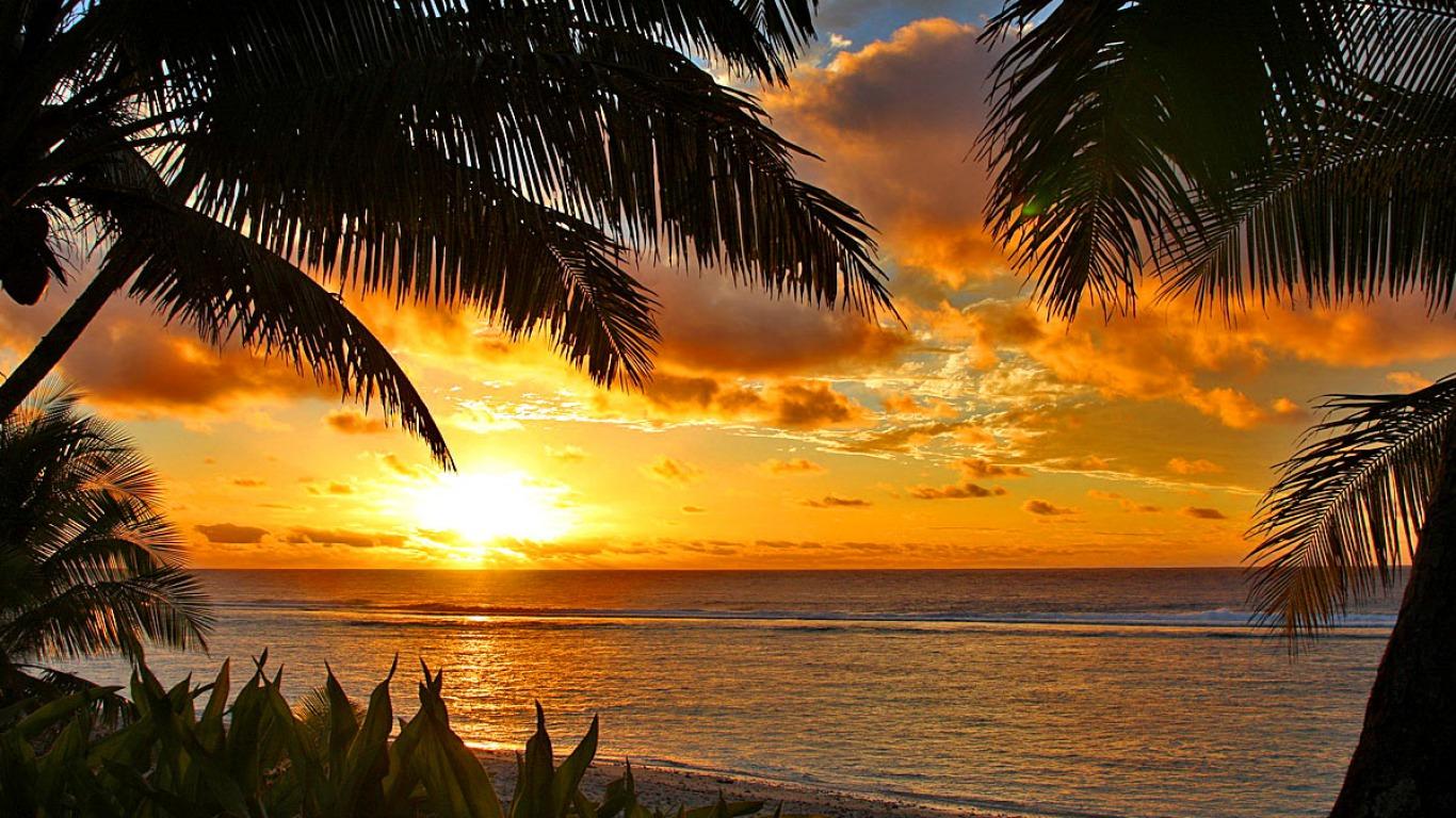 Tropical Sunset Scenery Wallpaper Desktop Sunset