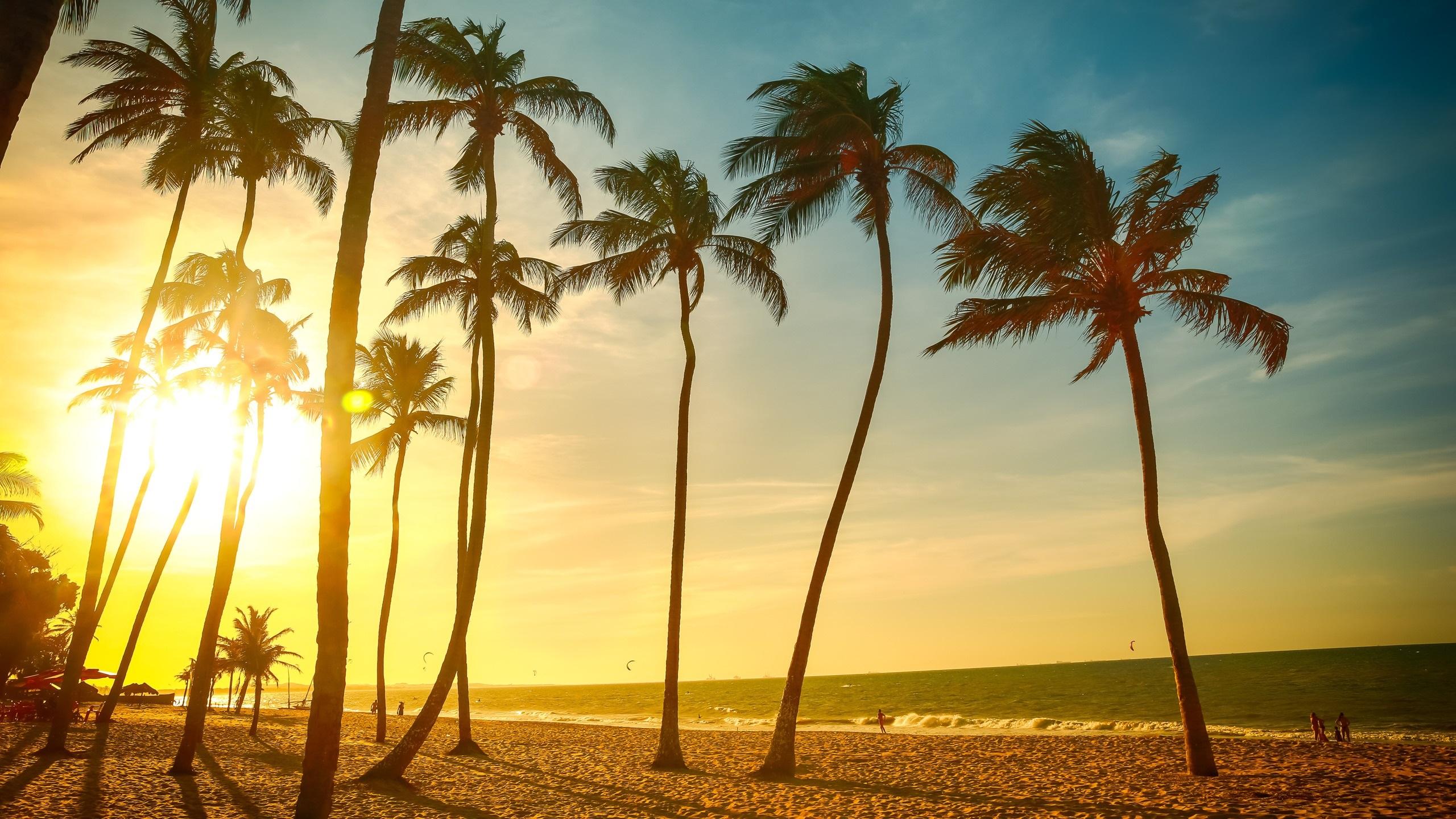Wallpaper Tropical beach beautiful sunset, palm tree, sea