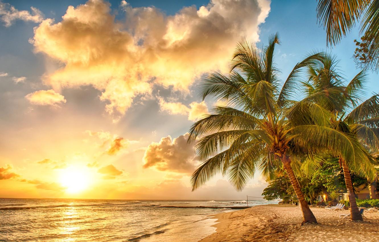Wallpaper sand, sea, beach, sunset, tropics, palm trees