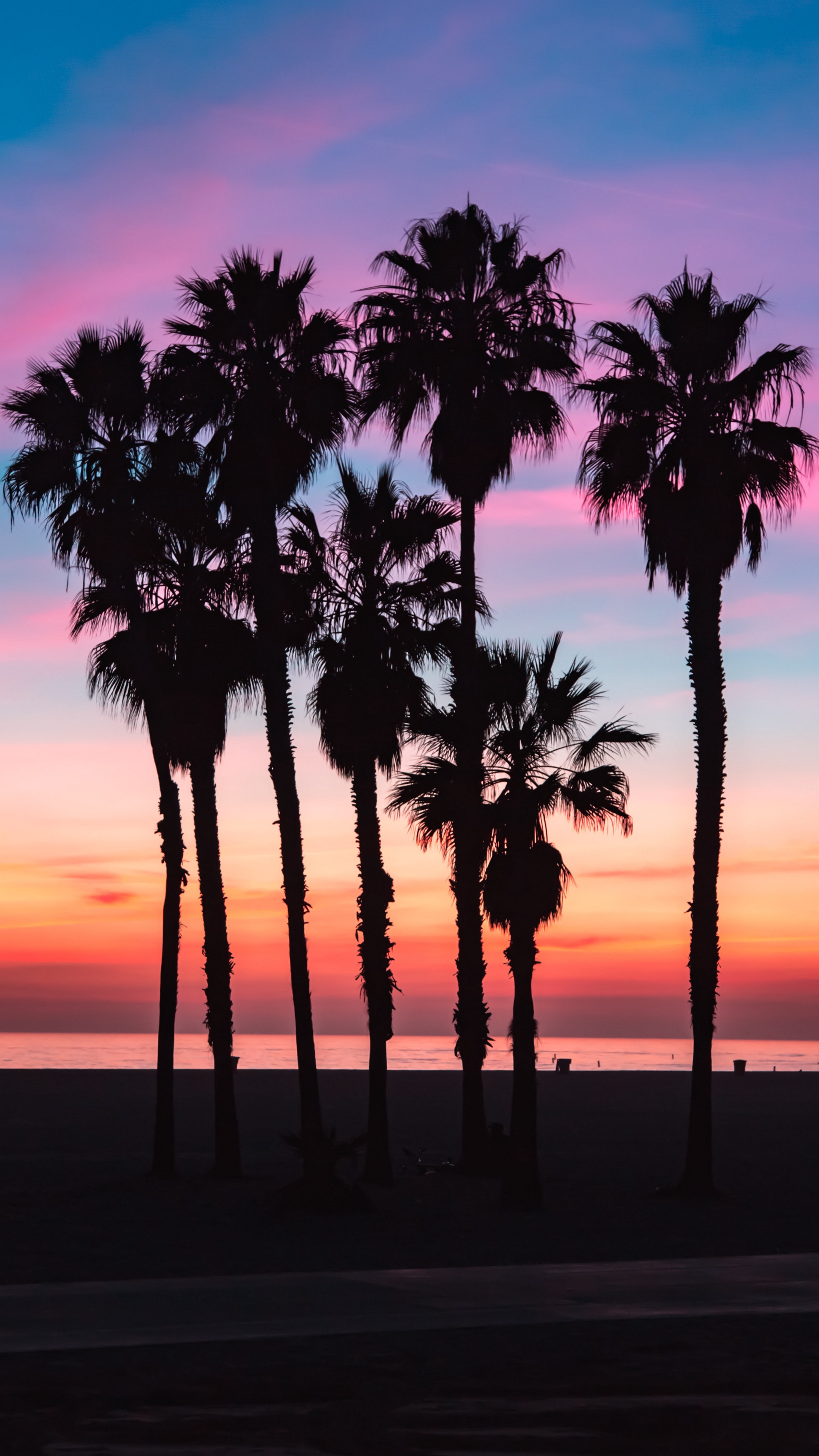 Download wallpaper 2160x3840 palms, silhouettes, shadow