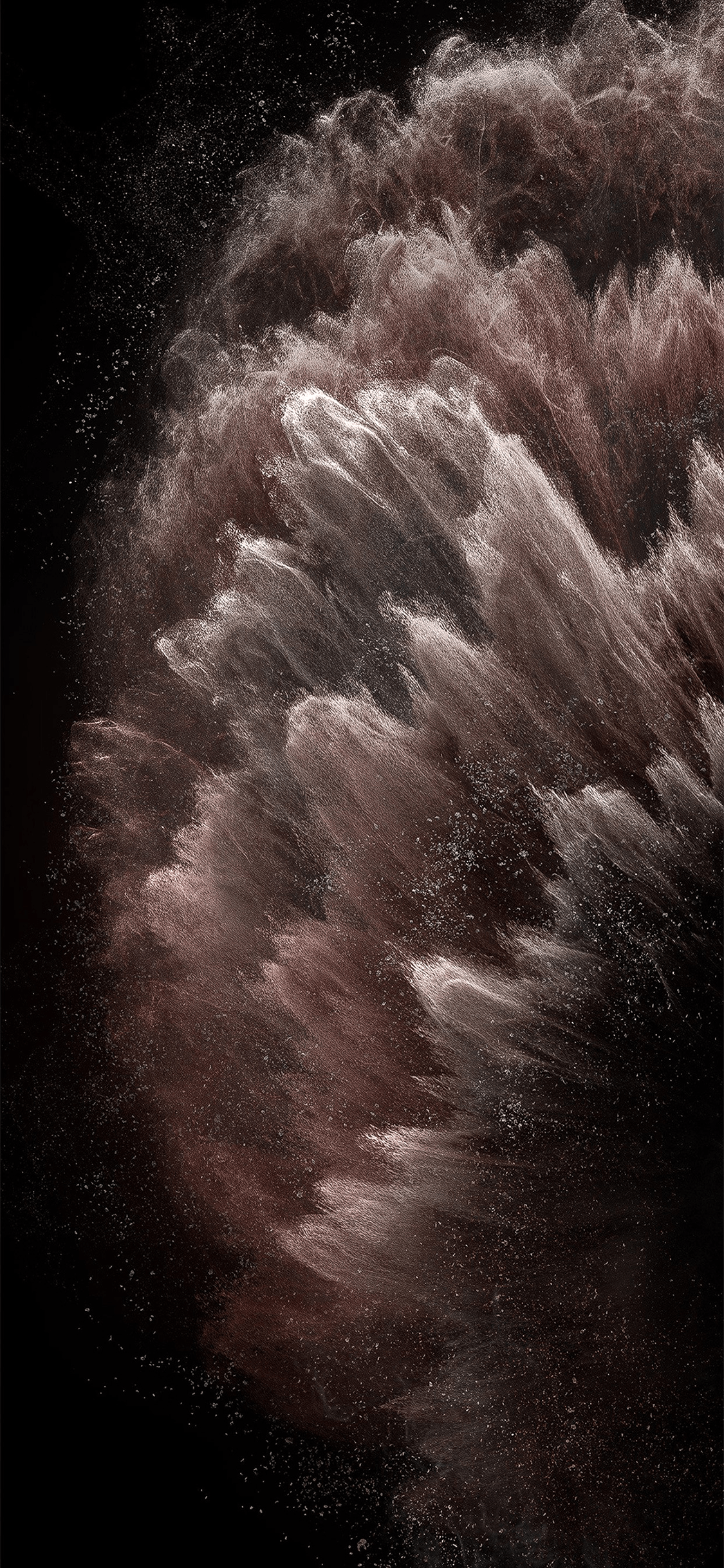 Download The Stock iPhone 11 Wallpaper Here