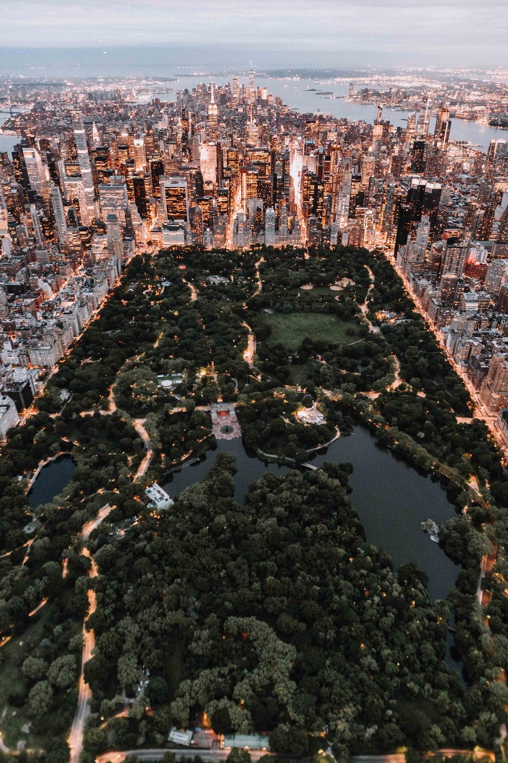 aerial view photography of city skyline photo