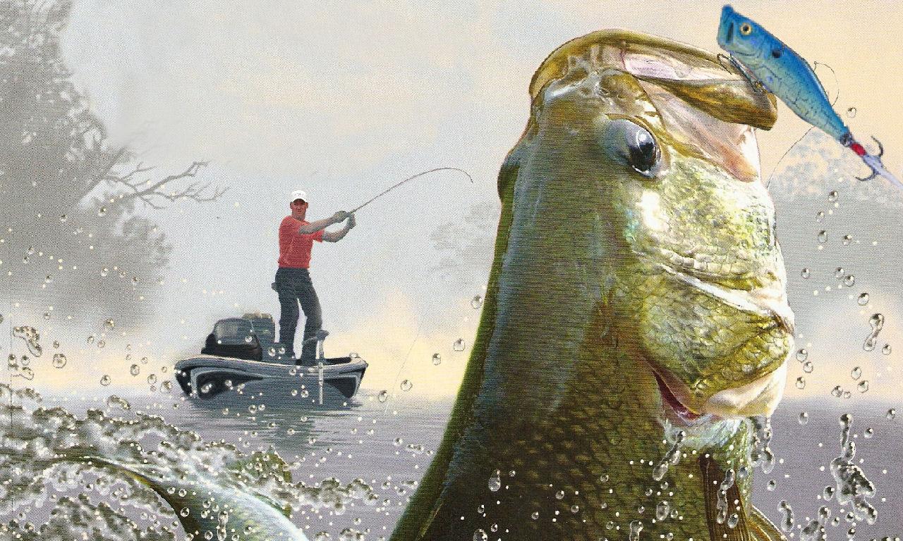 Free download Bass Fishing Wallpaper Background 1280x768