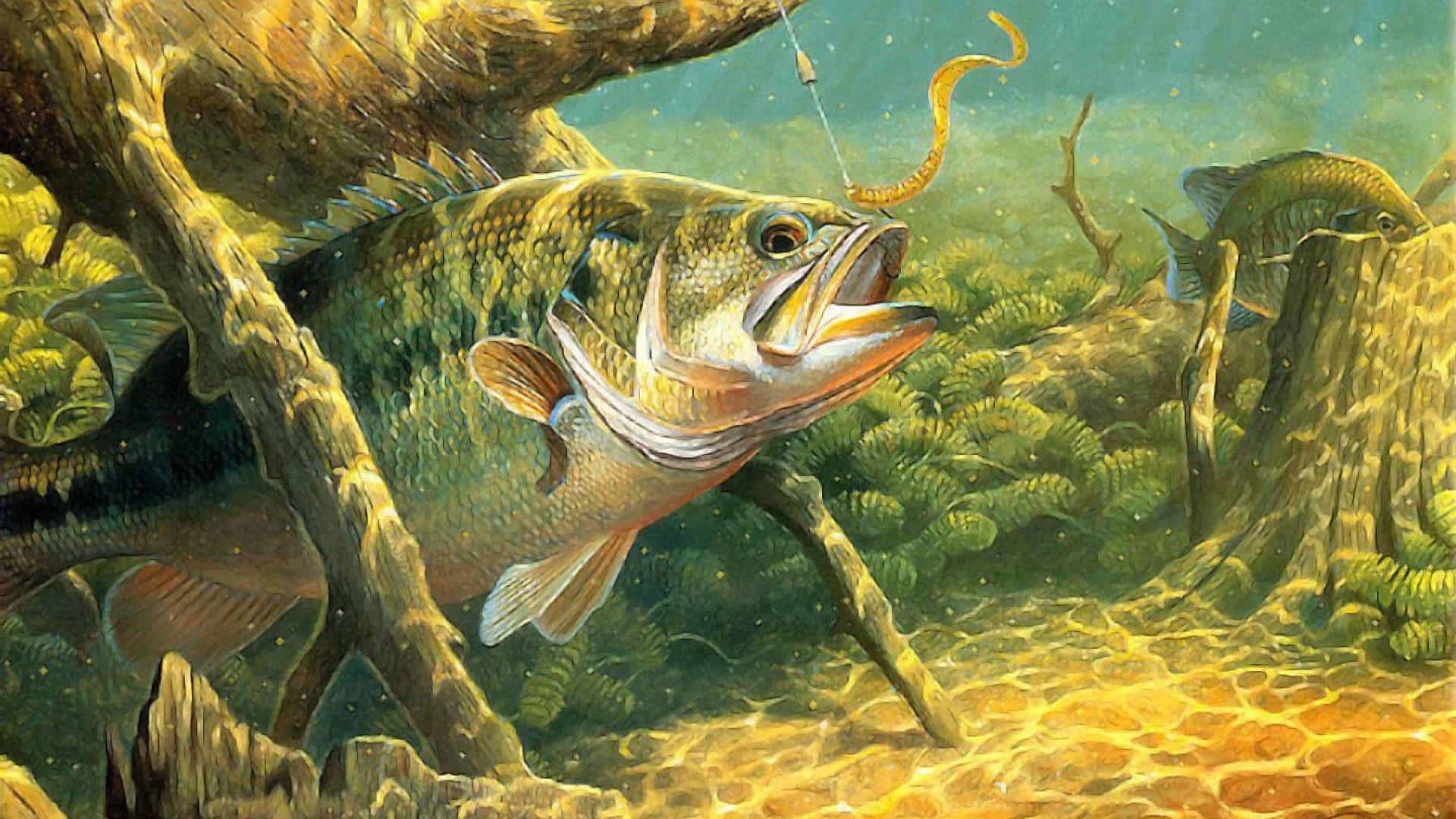 Bass Tag Fishing Wallpaper