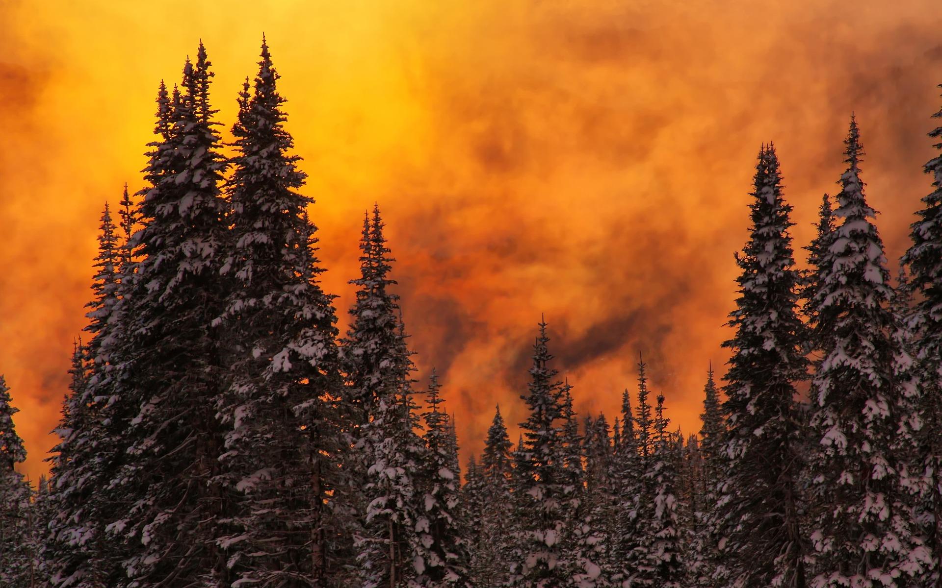 Foggy Winter Sunset Wallpaper Winter Nature Wallpaper