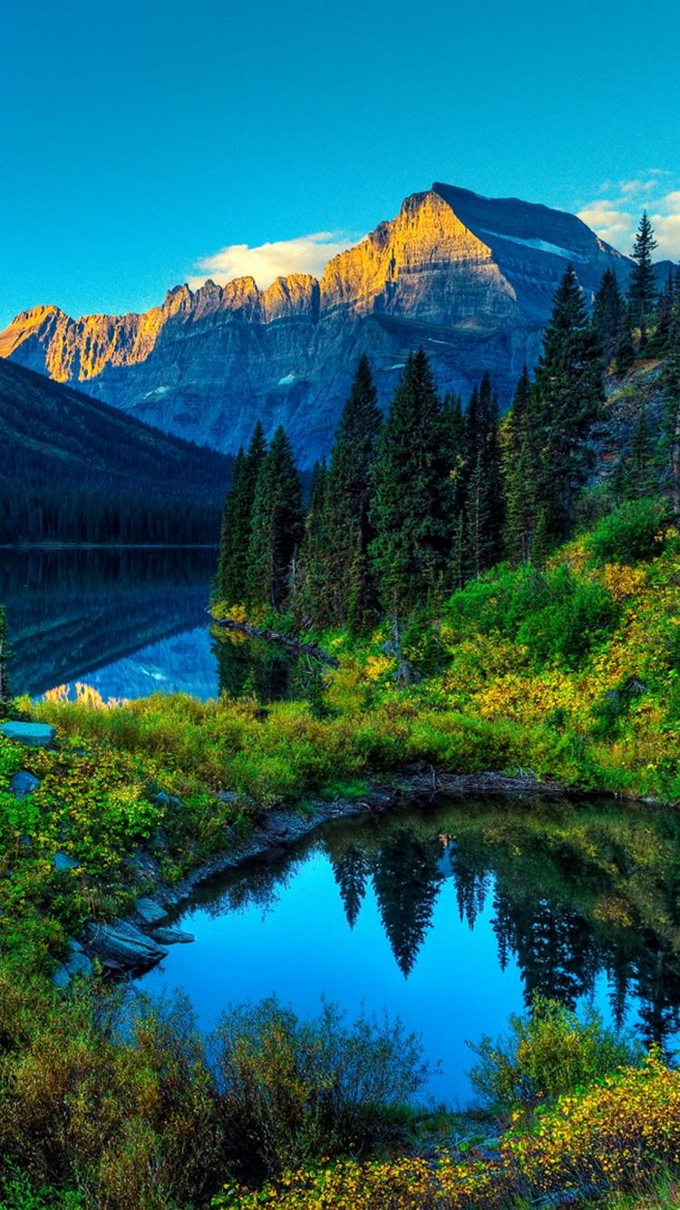 HDR Mountains Lake Forest iPhone 6 Wallpaper HD