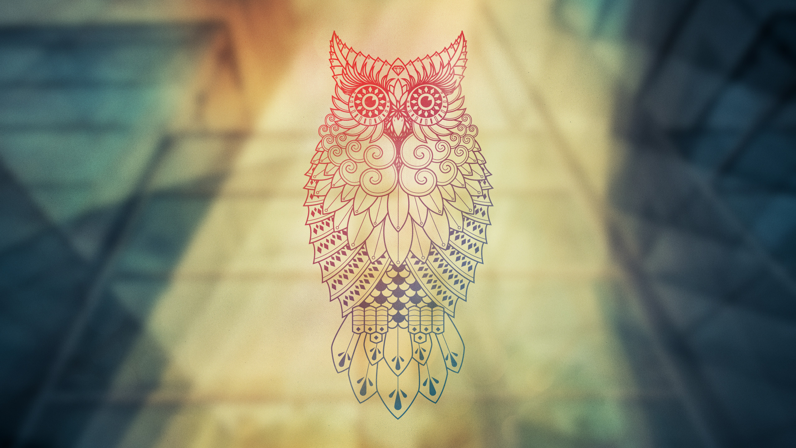 Snowy Owl Wallpaper HD