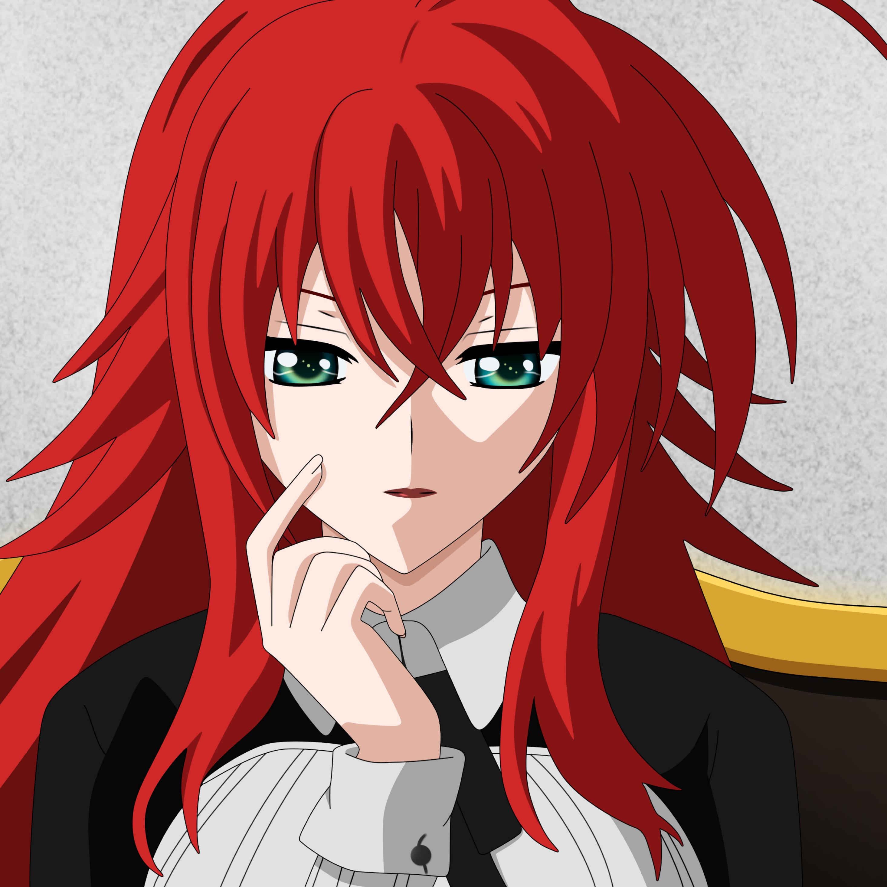 High School DxD iPad Pro Retina Display HD 4k