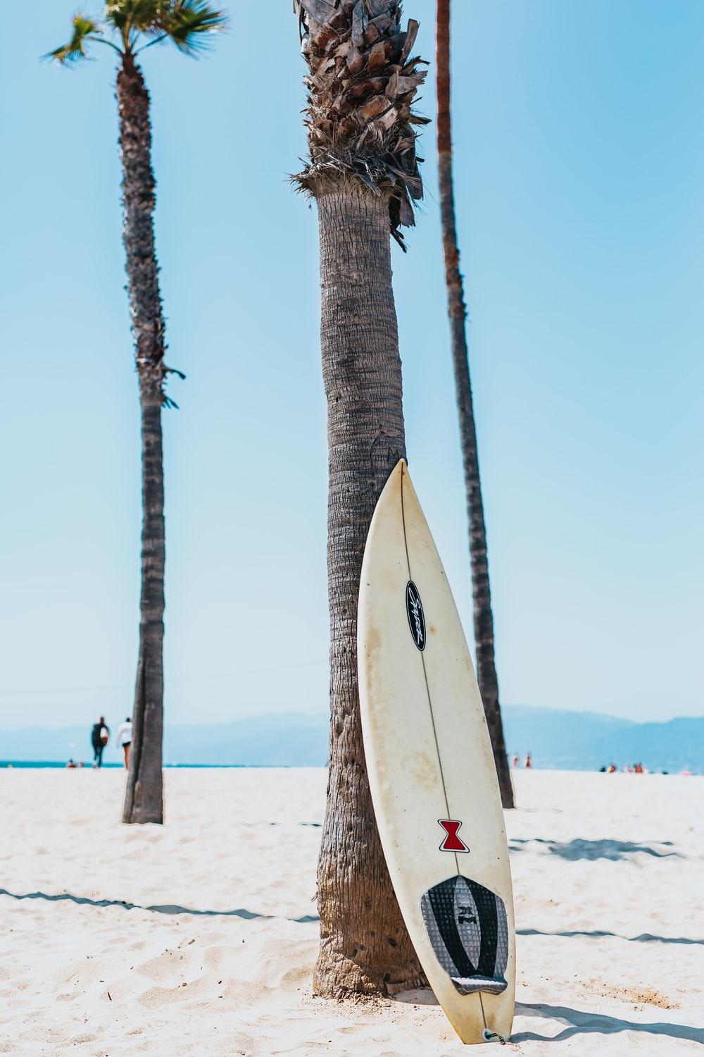 Surfboard Picture [HQ]. Download Free Image