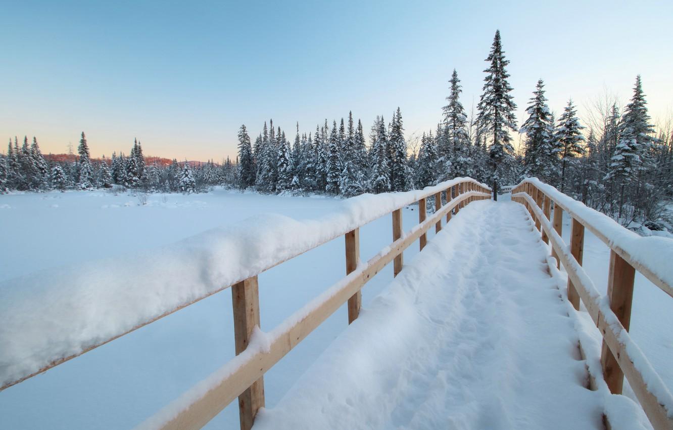 Wallpaper winter, forest, snow, bridge, ate, Canada, Canada