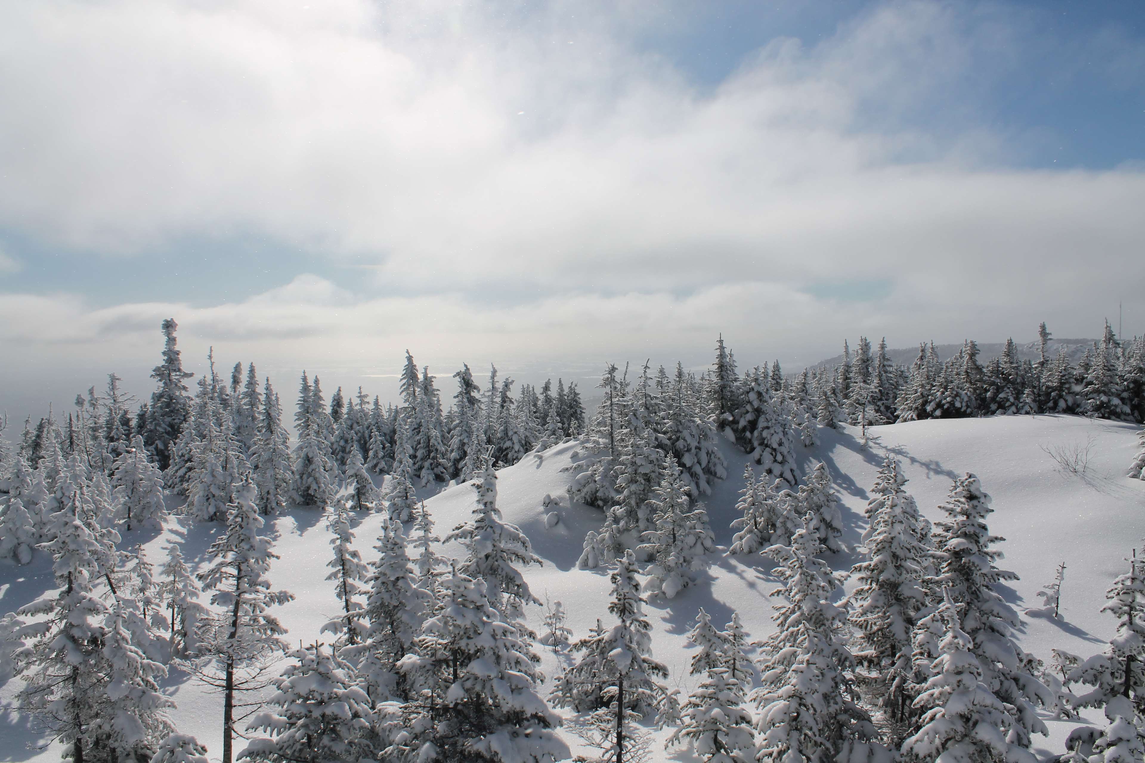 canada, mountain, nature, quebec, snow, white trees