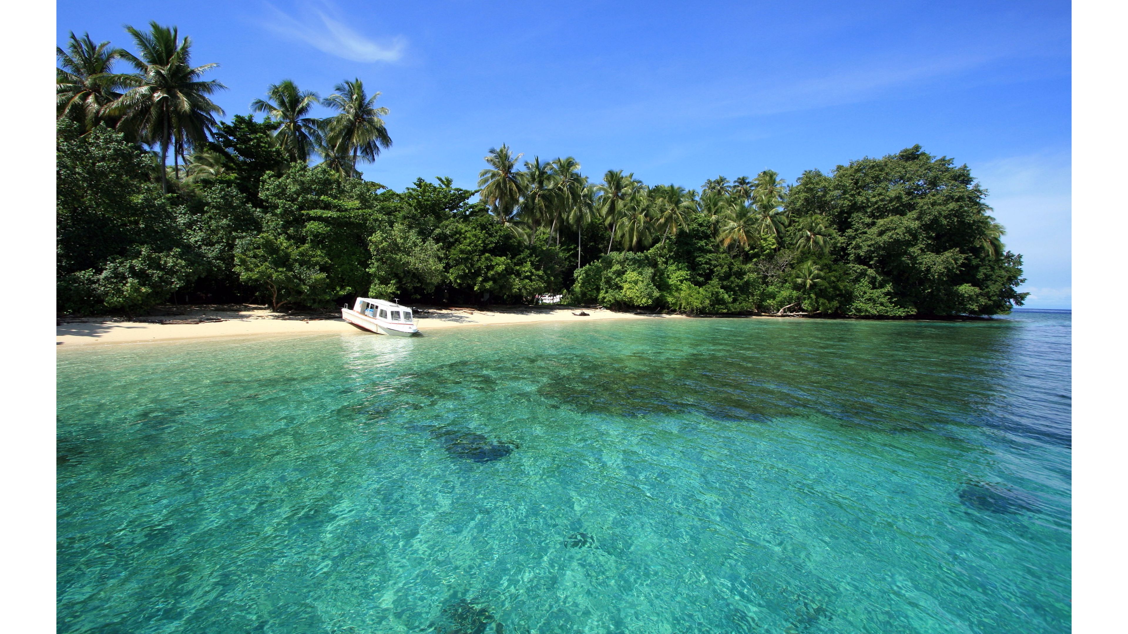 Tropical Beach View 4K wallpaper