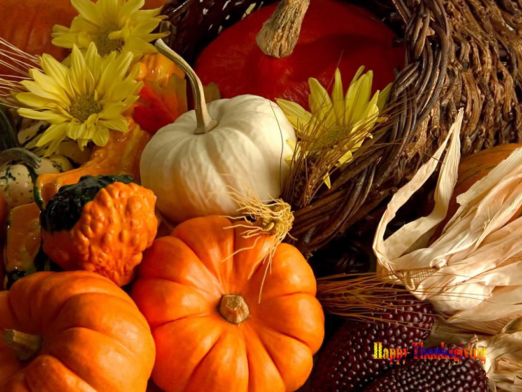 Free download Thanksgiving Desktop Wallpaper