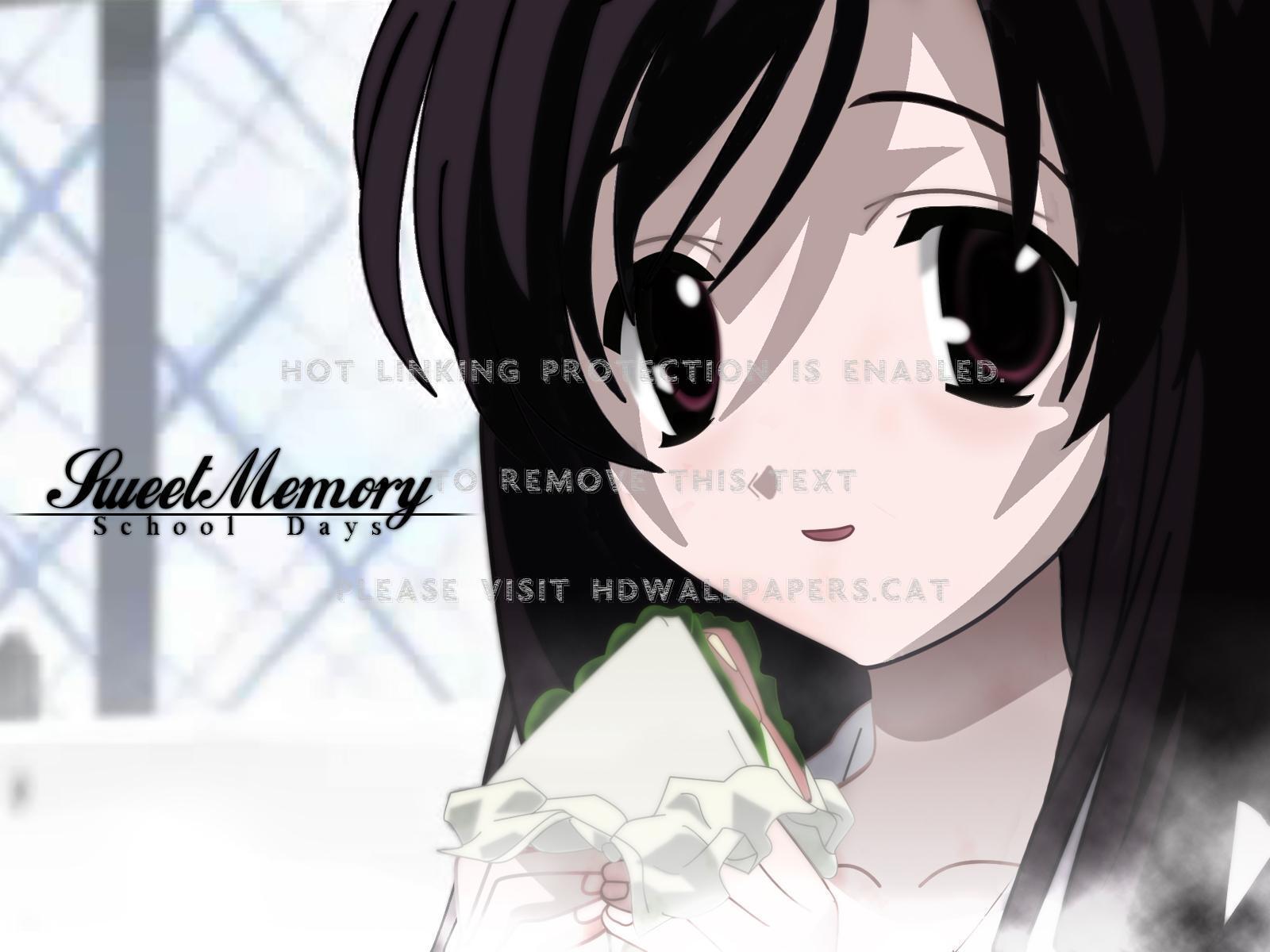 kotonoha katsura school days anime