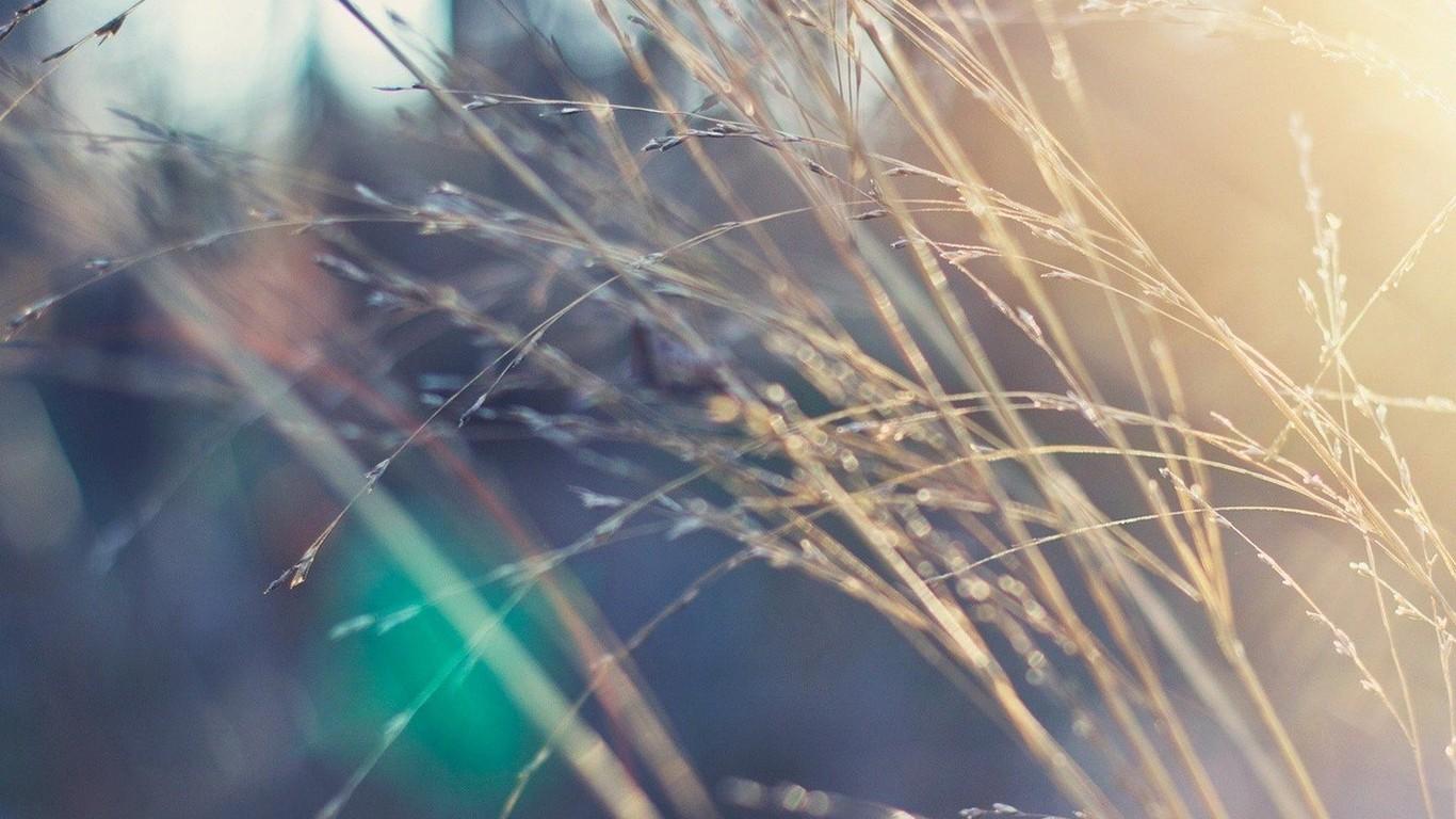 Autumn beautiful computer desktop wallpaper 47874