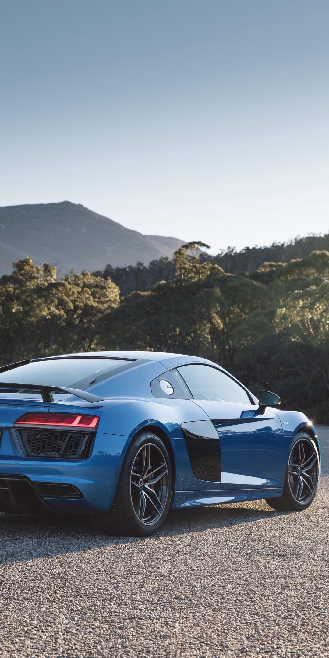 Download 1080x2160 Audi R8 V Blue, Back View, Bokeh, Cars