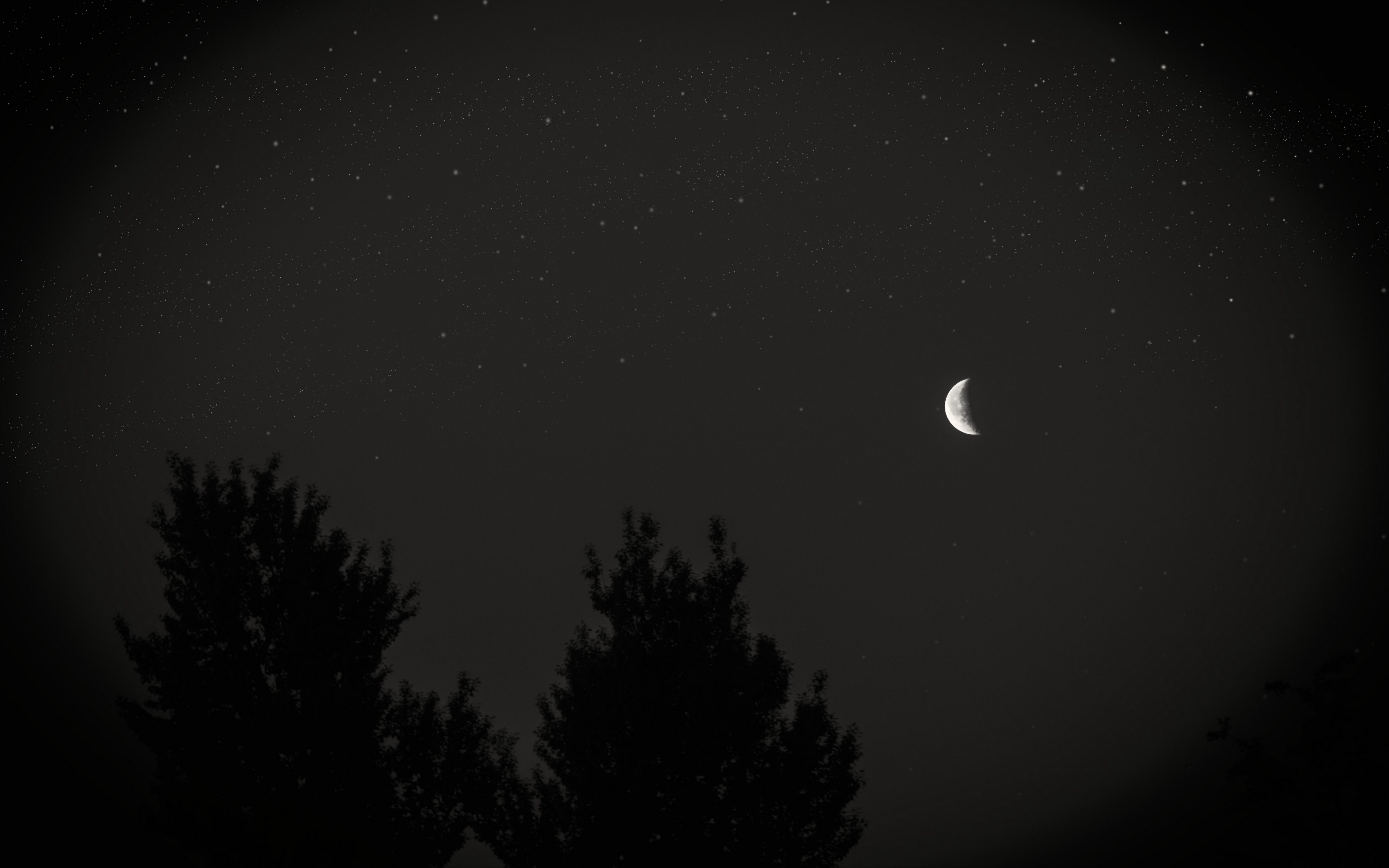 Download wallpaper 3840x2400 moon, night, sky, tree, stars