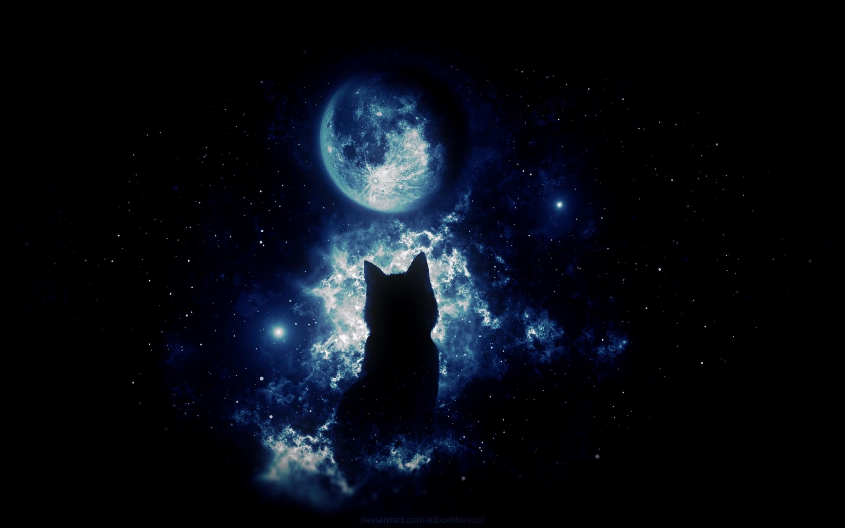 Anime cat staring at the moon HD Wallpaper 15 Retina