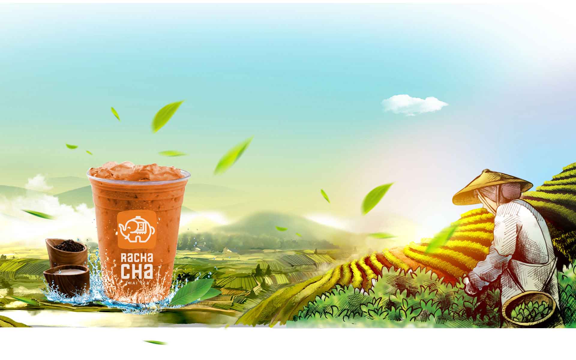 Franchise RachaCha Thai Tea, Waralaba Minuman Teh Thailand