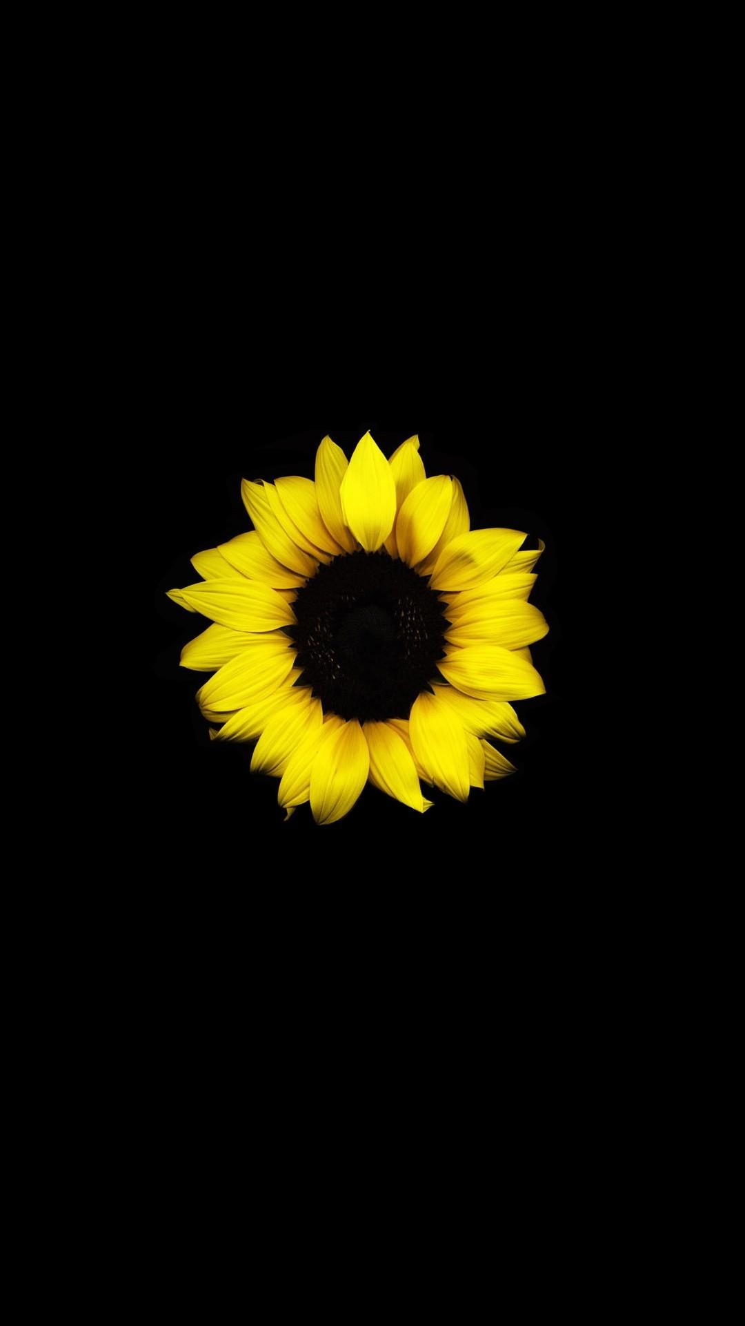 My favorite amoled wallpaper, yellow flower [1080x1920]
