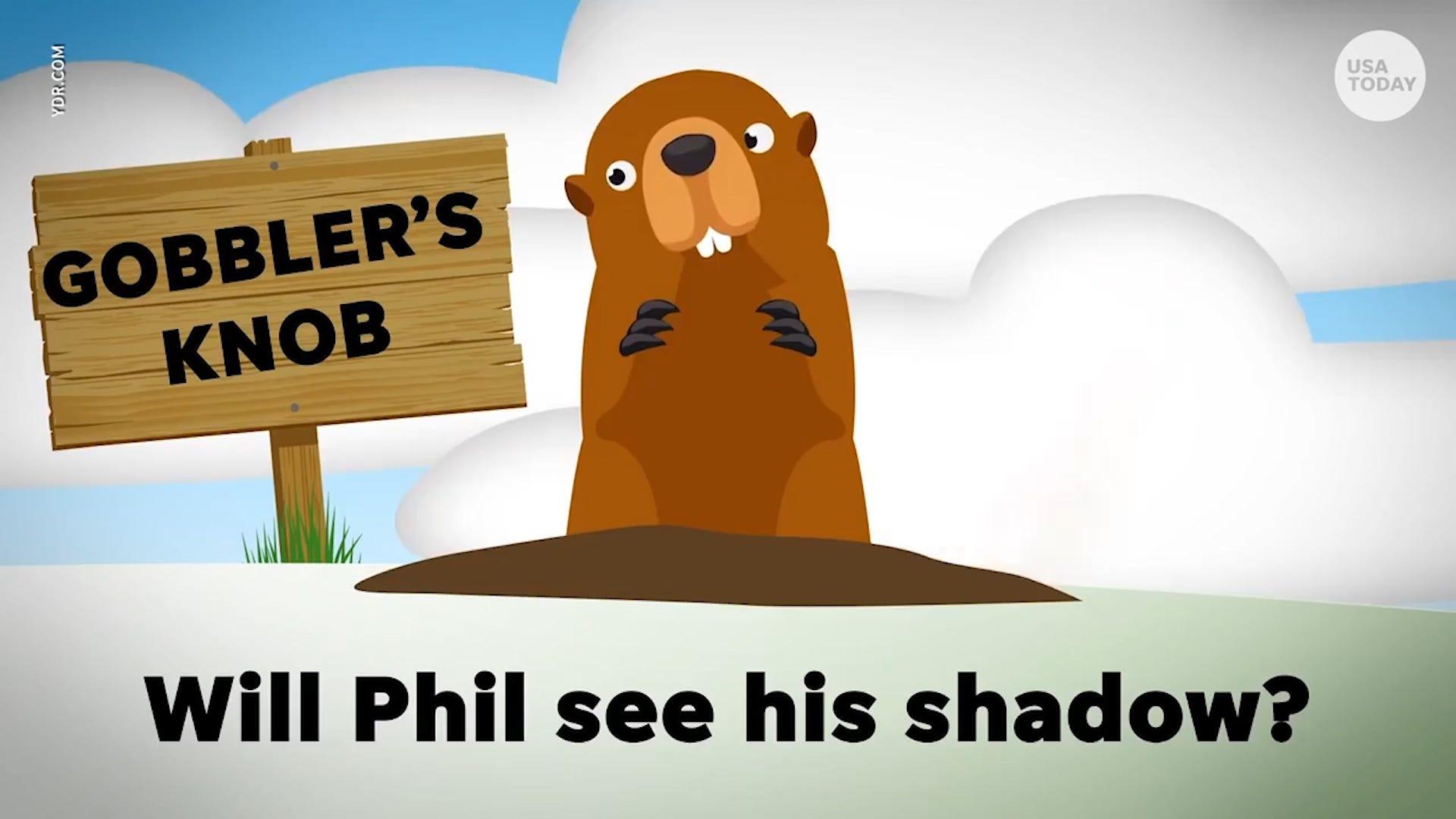 Groundhog Day 2020 weather: Will Punxsutawney Phil see his