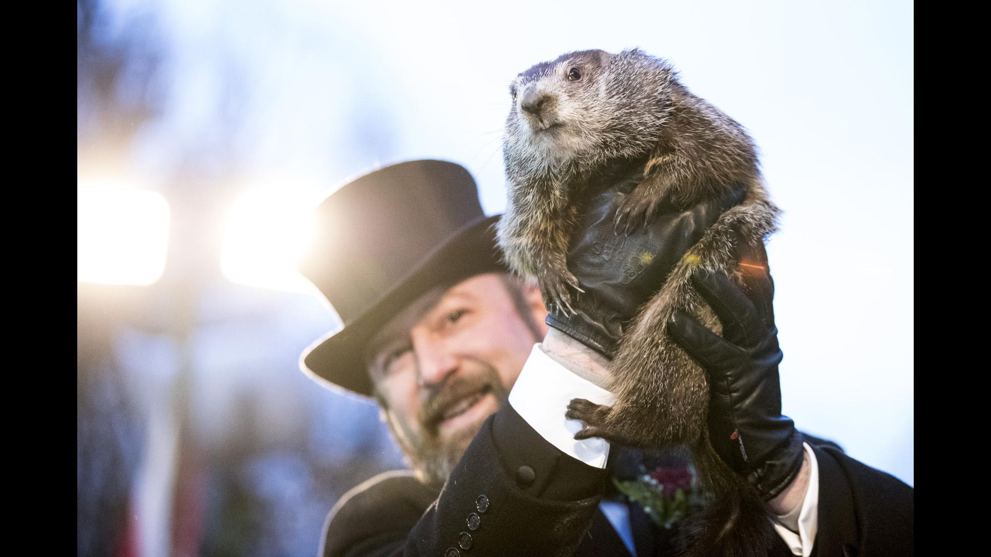 Why does Groundhog Day exist?