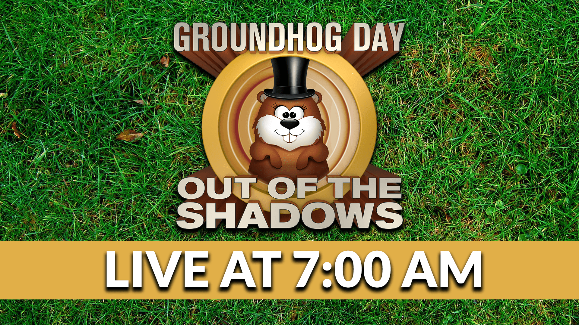 Groundhog Day: Out of the Shadows