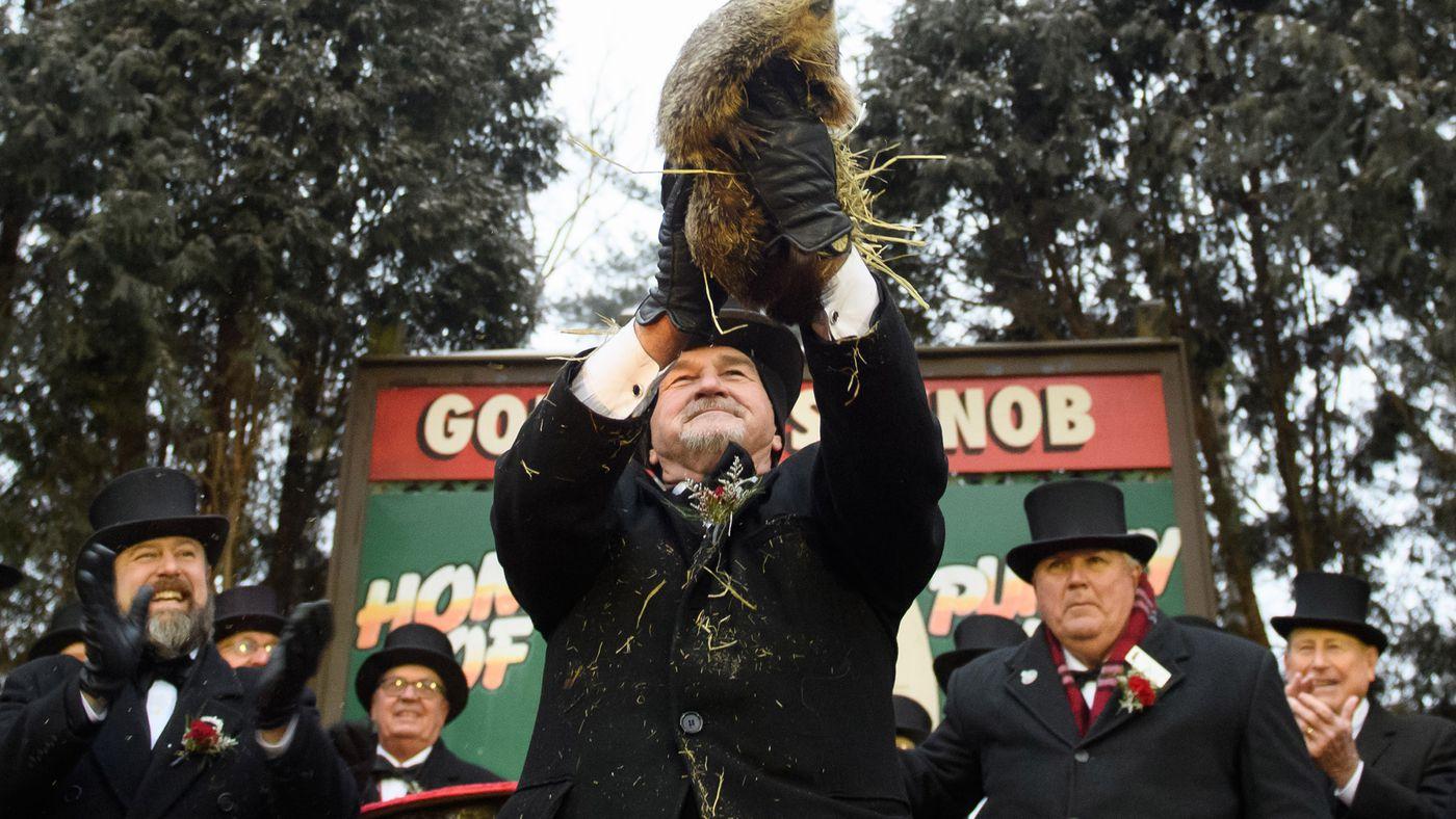 Punxsutawney Phil should be replaced with AI groundhog, says