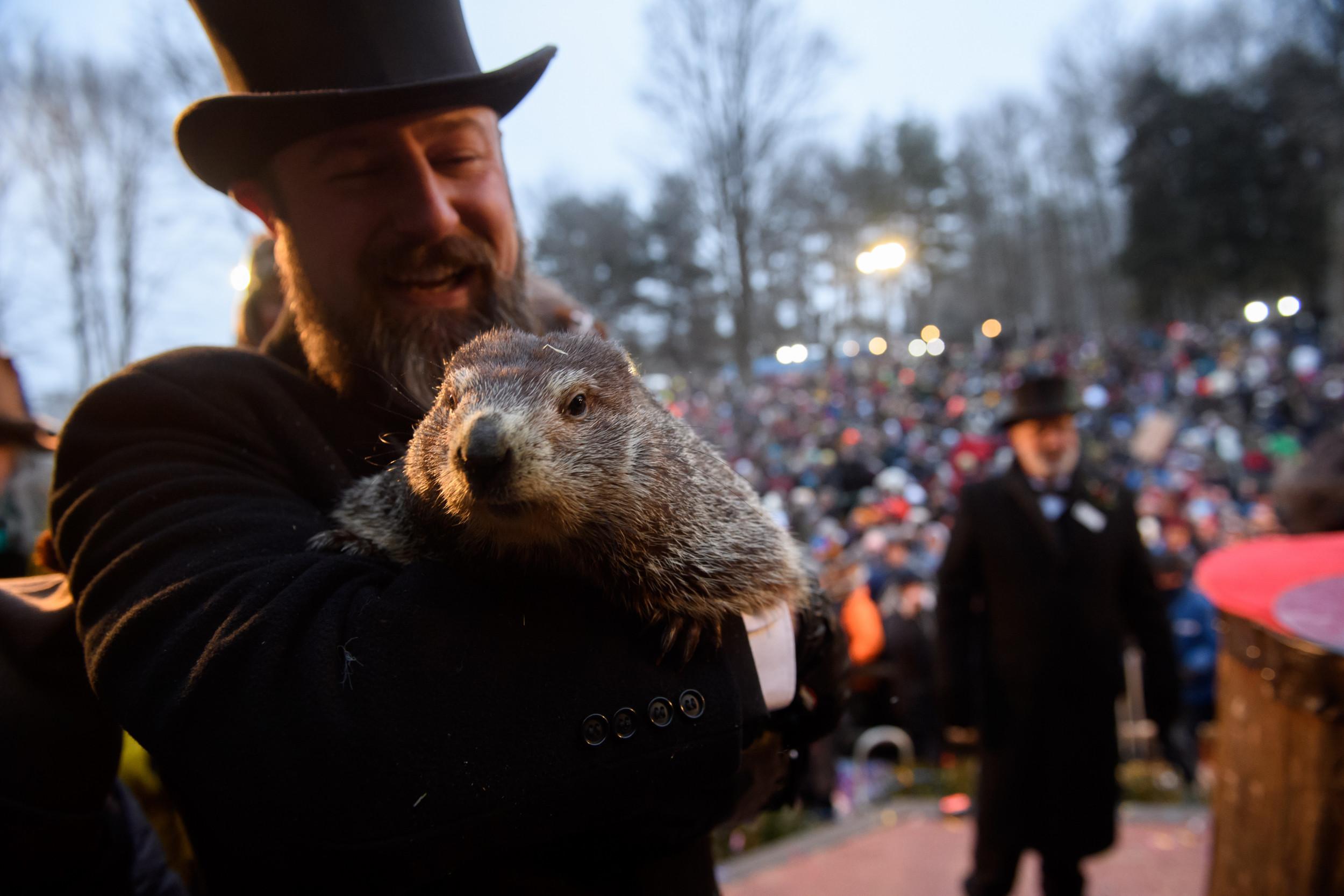 Groundhog Day 2020 Livestream: Watch Punxsutawney Phil Look