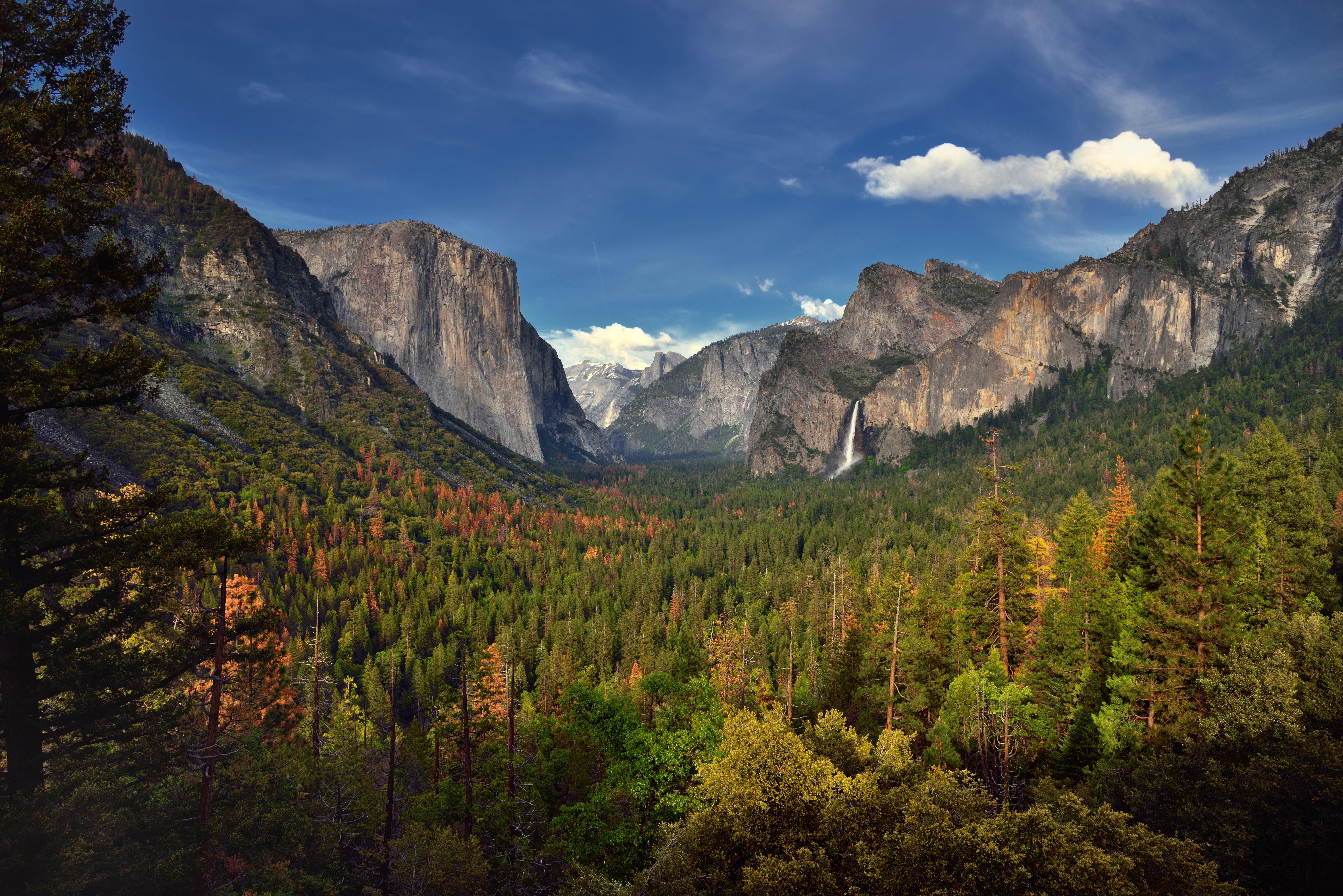 Green tree covered mountain, yosemite valley, yosemite