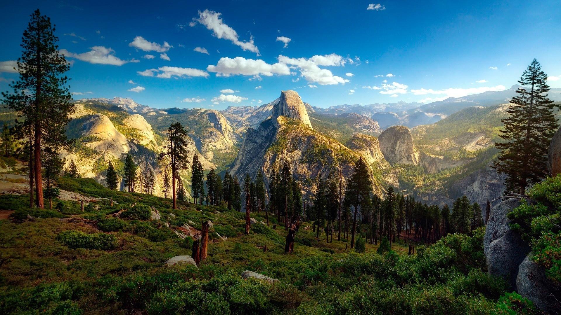 Yosemite Valley California USA Wallpaper 44410