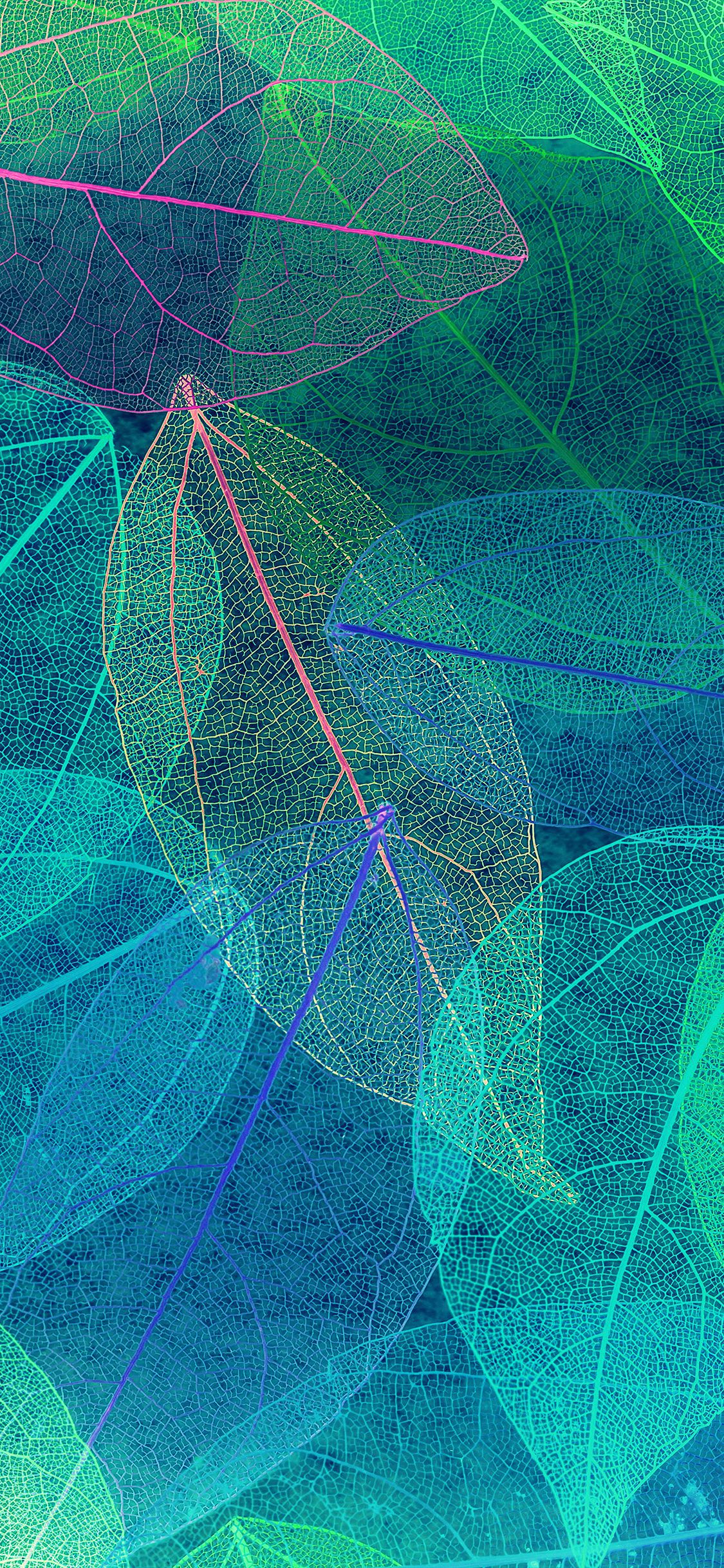 Color blue leaf art fall pattern iPhone X Wallpaper Free