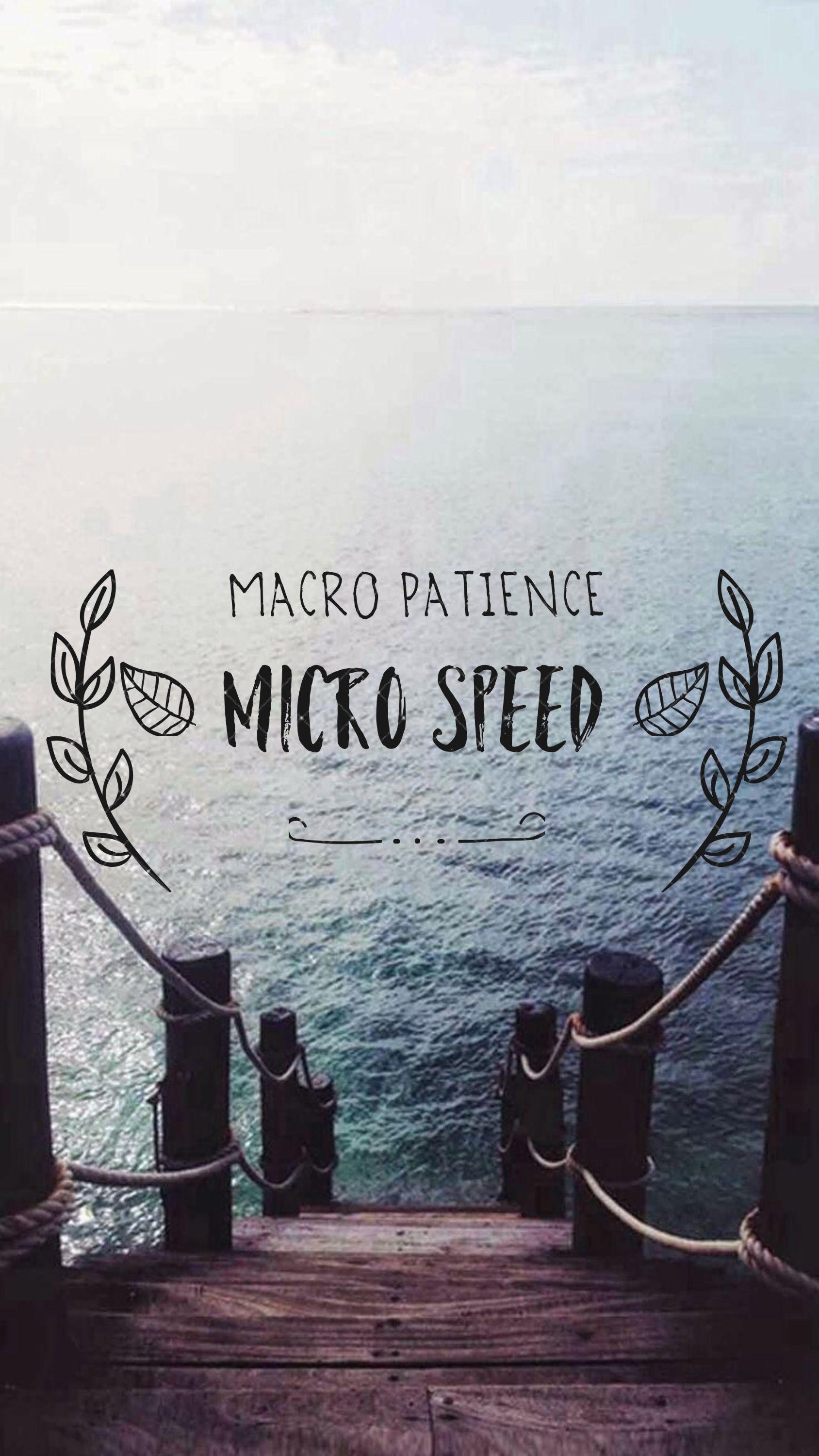 Gary Vee iPhone wallpaper macro patience micro speed. Gary