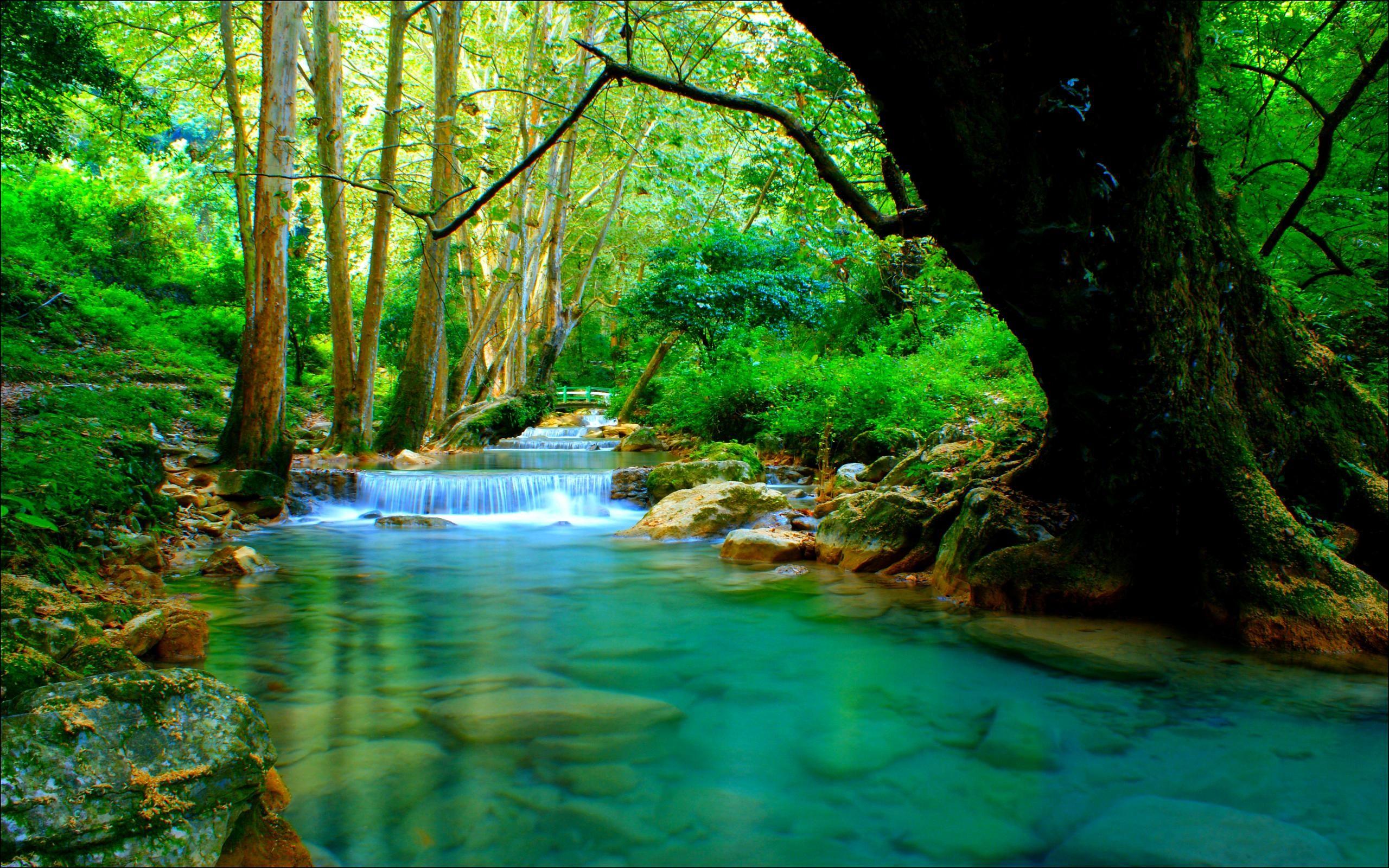 Forest River Wallpaper Desktop Background #eHM. Waterfall
