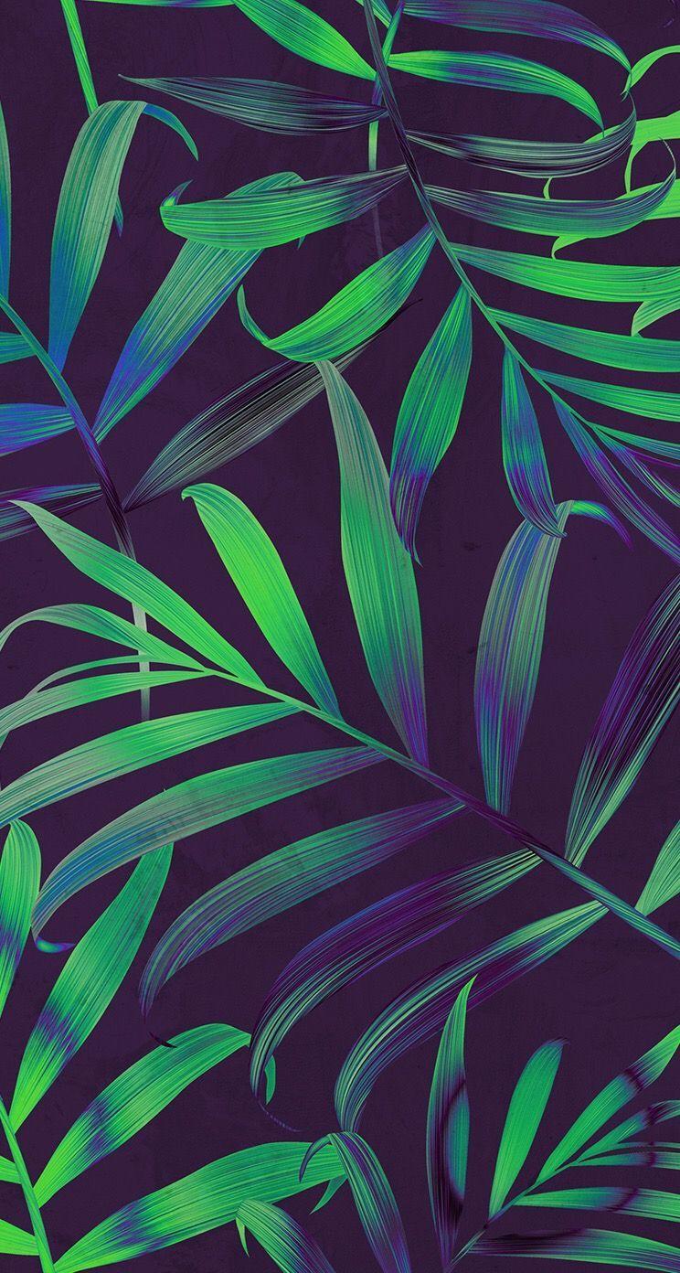 Palm Leaves iPhone Wallpaper Free Palm Leaves iPhone