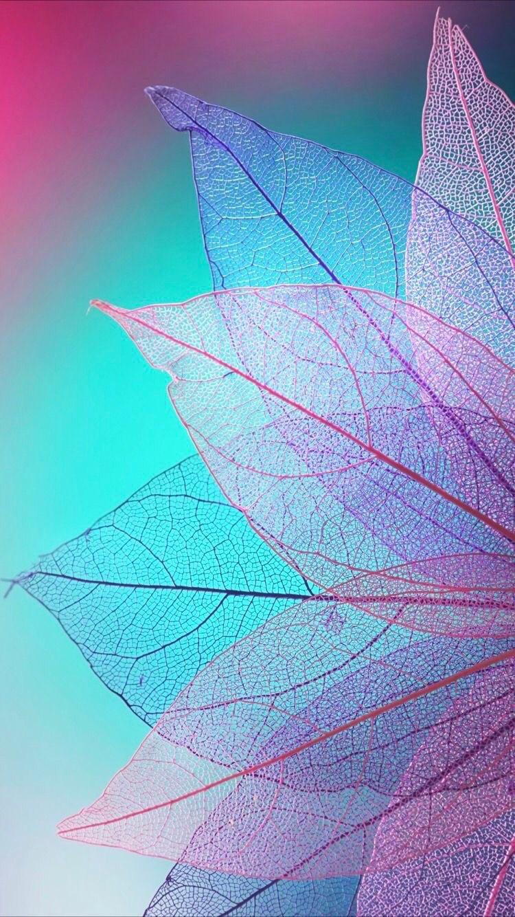 iPhone and Android Wallpaper: Colored Leaves Wallpaper